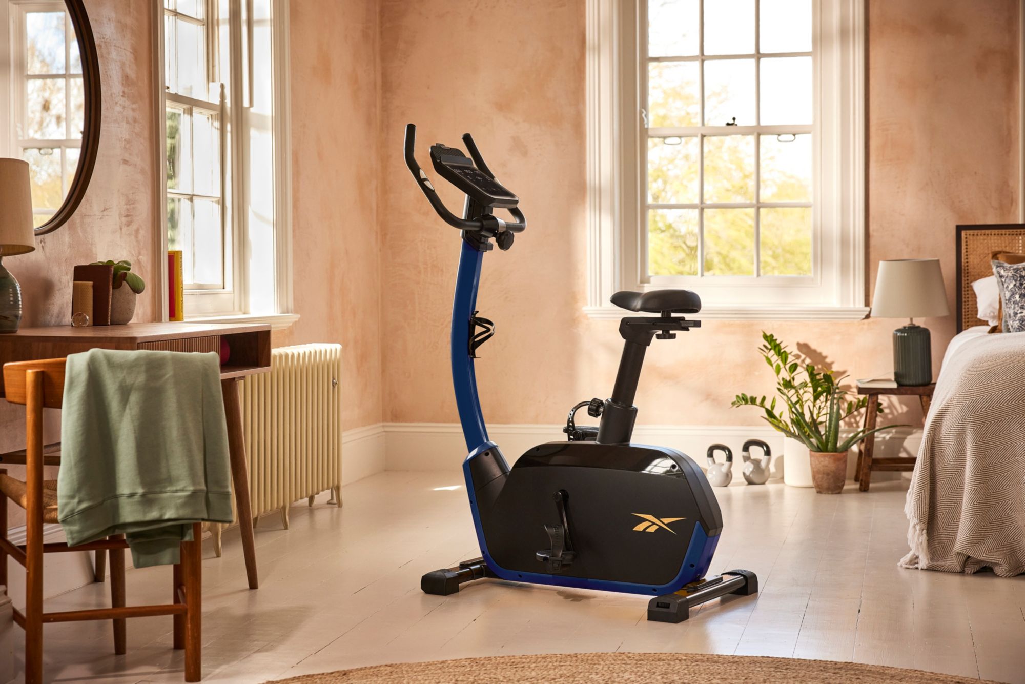 Reebok FR30 Exercise Bike product image
