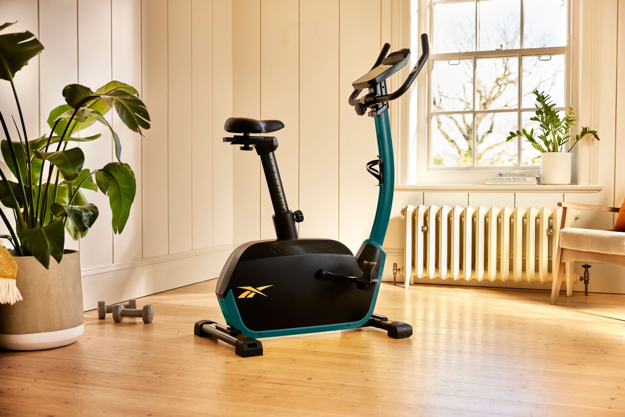 Reebok FR30 Exercise Bike product image