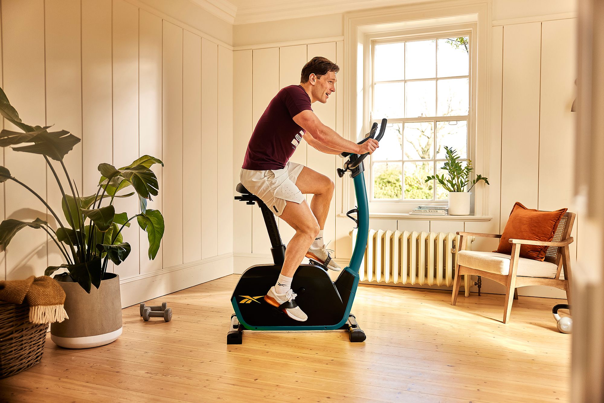 Reebok FR30 Exercise Bike product image