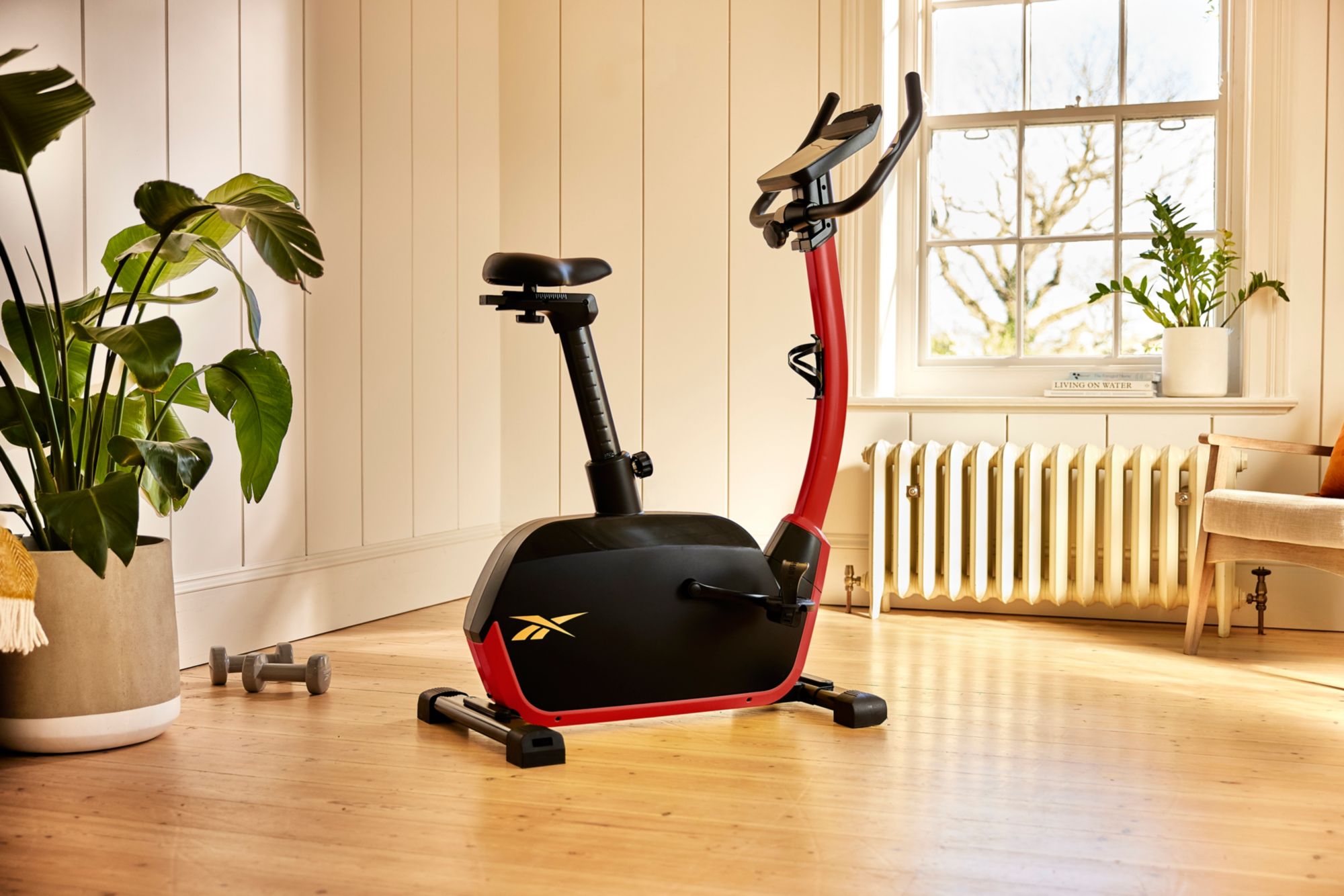 Reebok FR30 Exercise Bike product image
