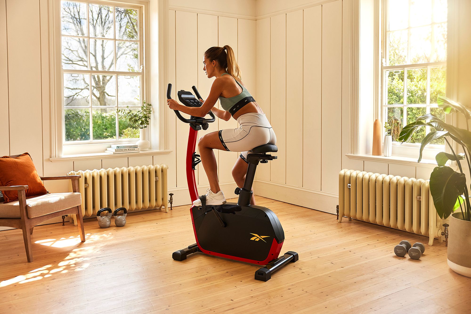 Reebok FR30 Exercise Bike product image