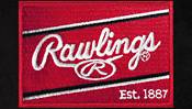 Rawlings 12'' HOH Series USA Special Edition Fastpitch Glove product image