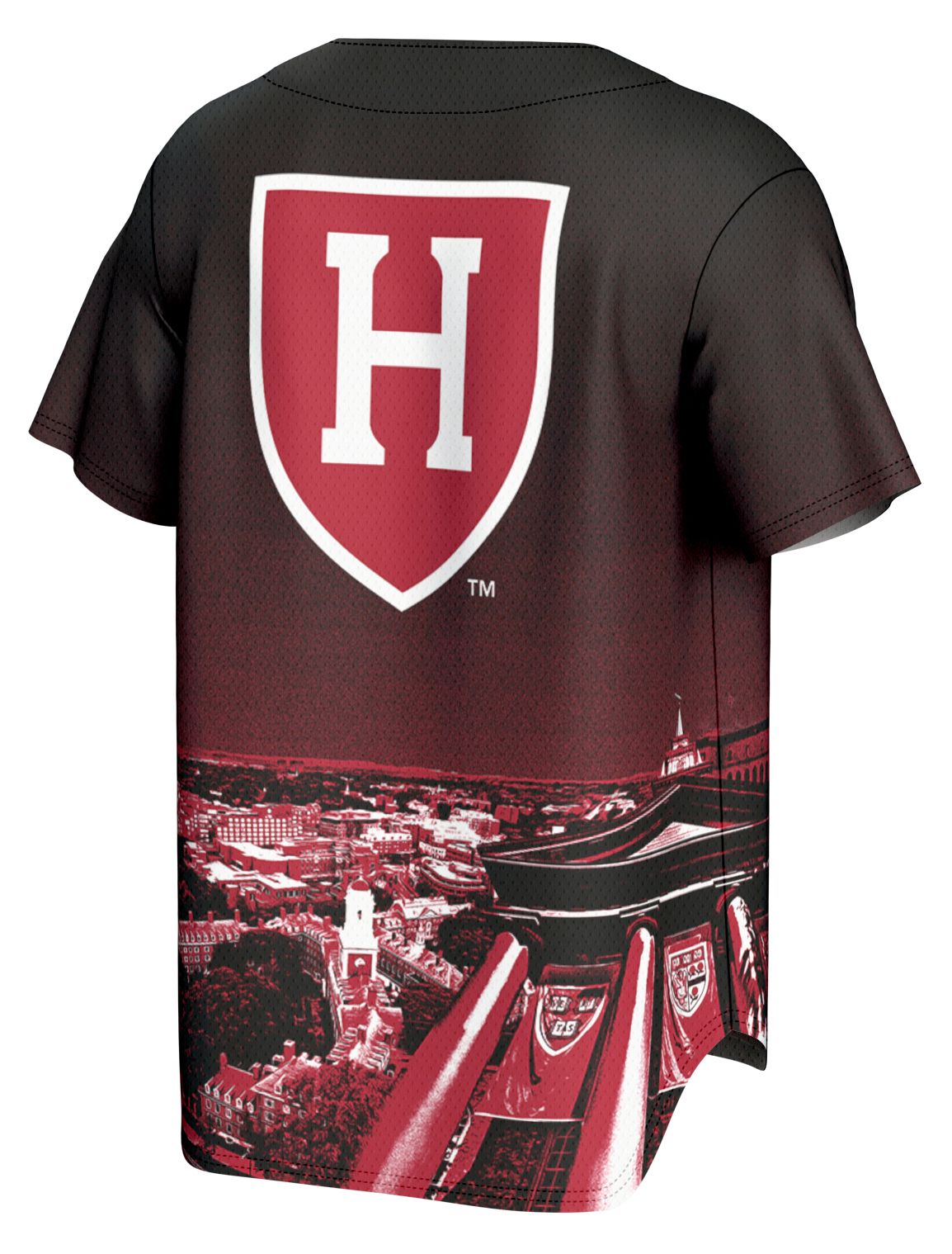 ProSphere Youth Harvard Crimson Maroon Campus Local Baseball Jersey product image