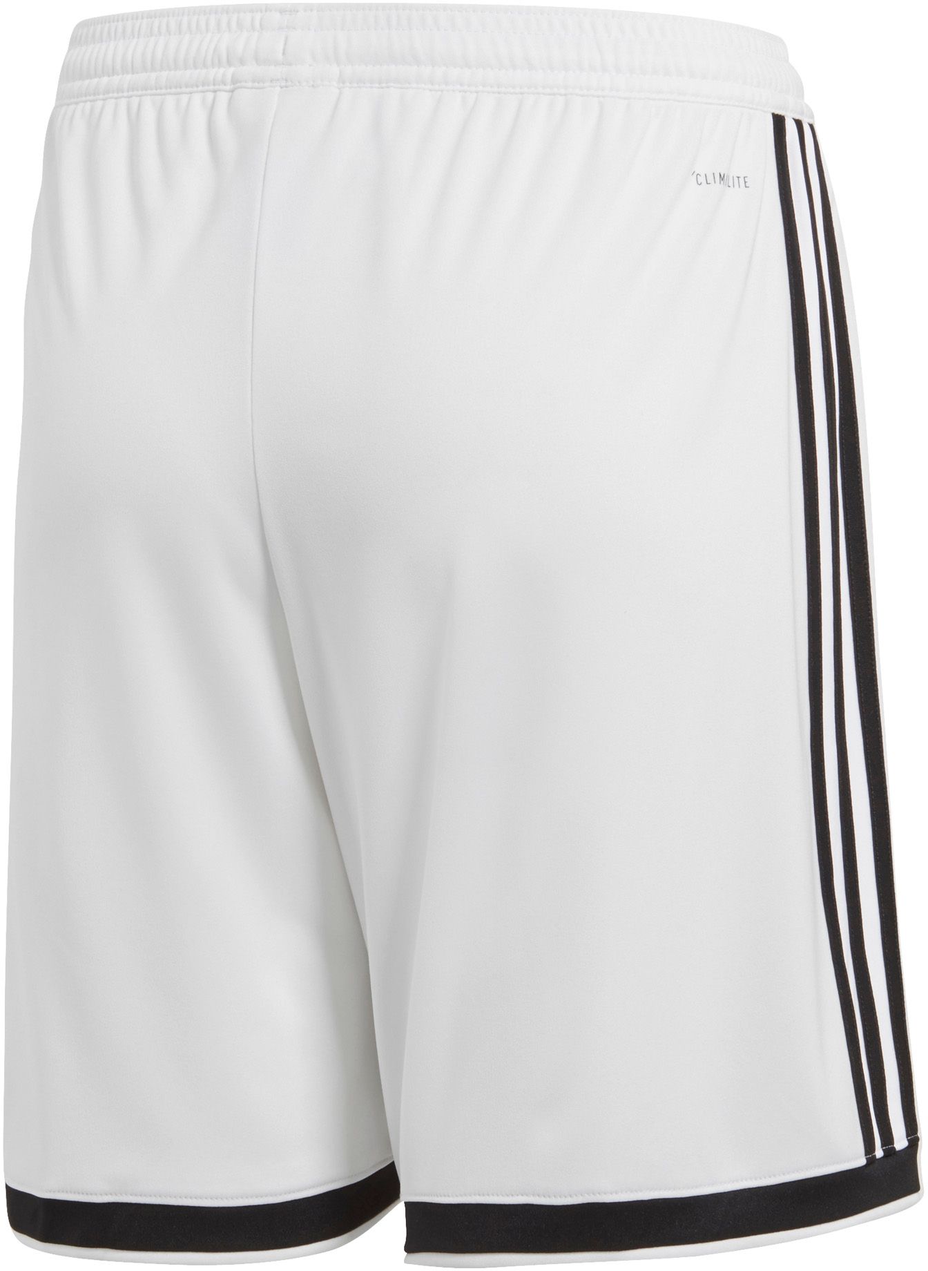 adidas regista 18 shorts