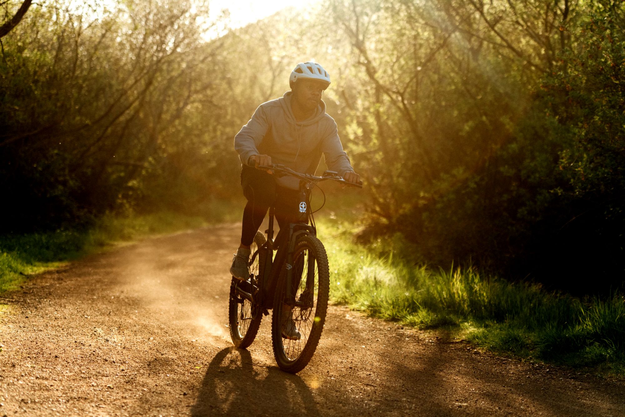Schwinn Adult 29" Ridgewood Electric Mountain Bike product image