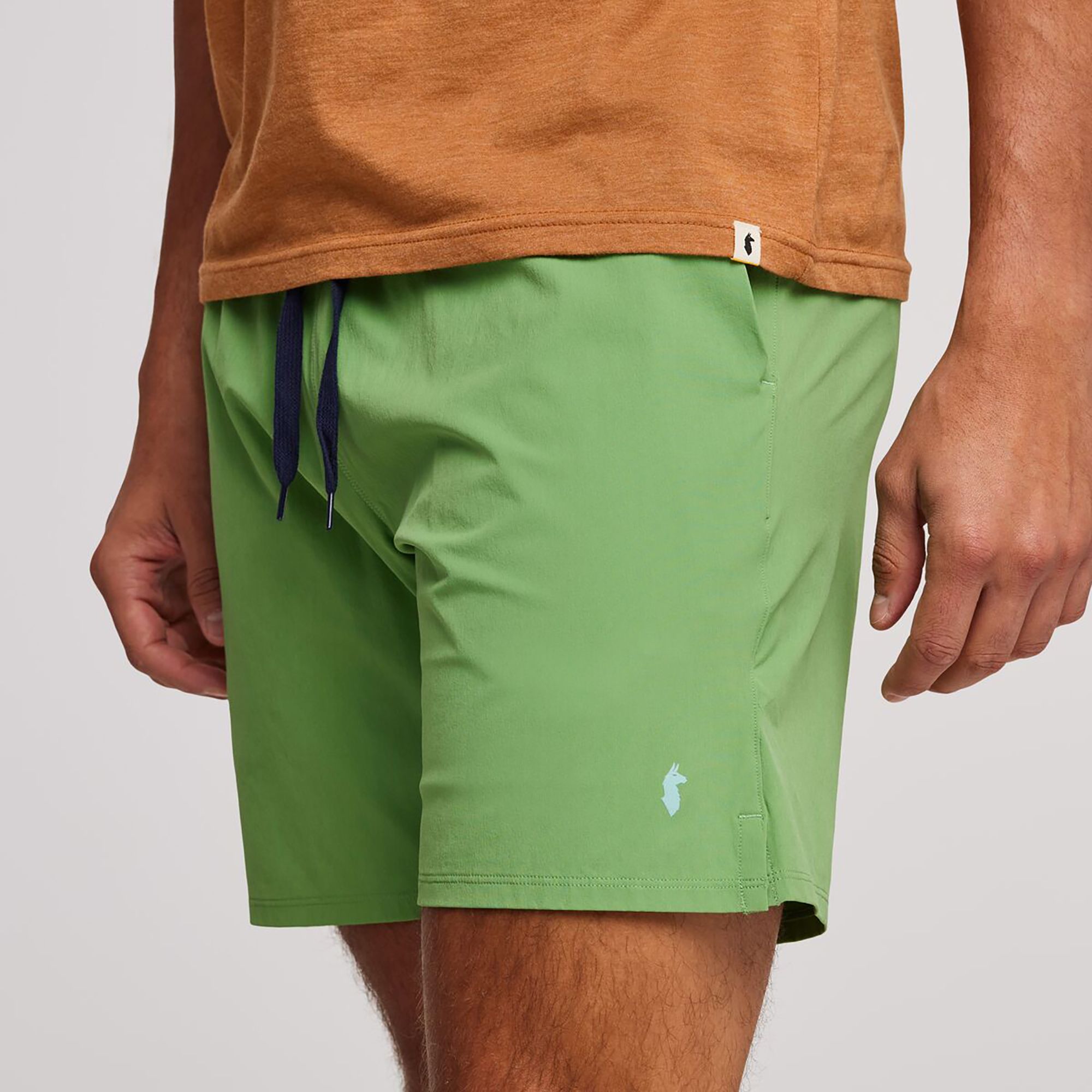 Cotopaxi Men's Valle Active Shorts product image