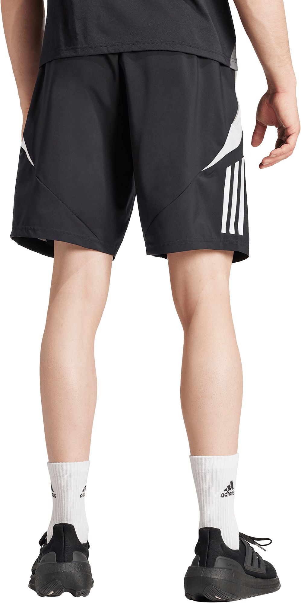 adidas Men's Tiro 24 Shorts product image