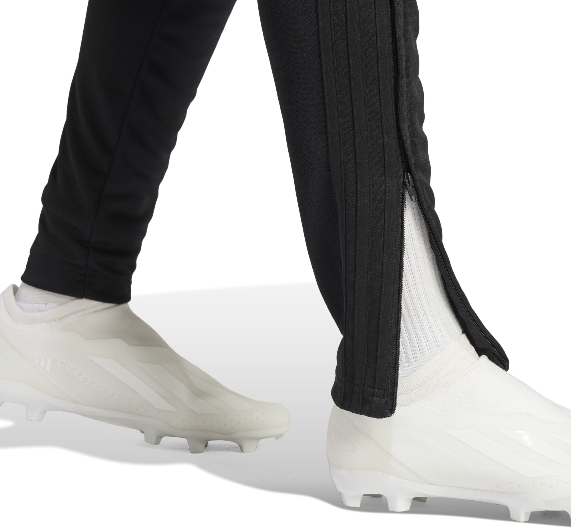 adidas Women's Tiro 24 Training Pants product image