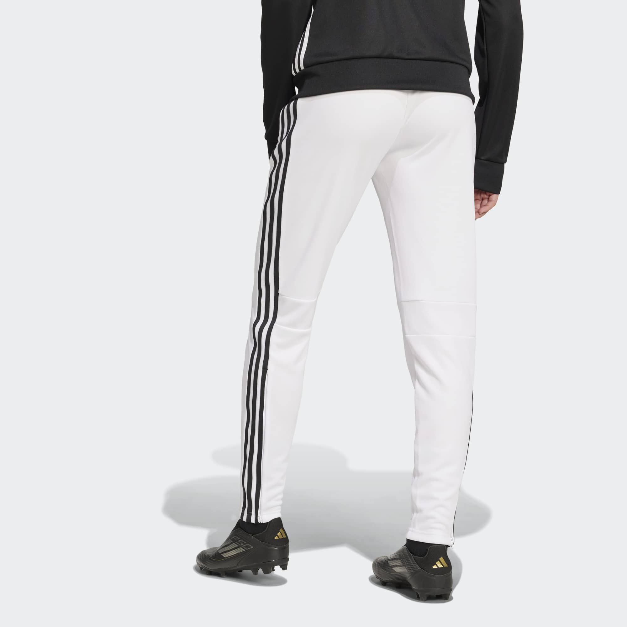 adidas Women's Tiro 25 Essentials Training Pants product image