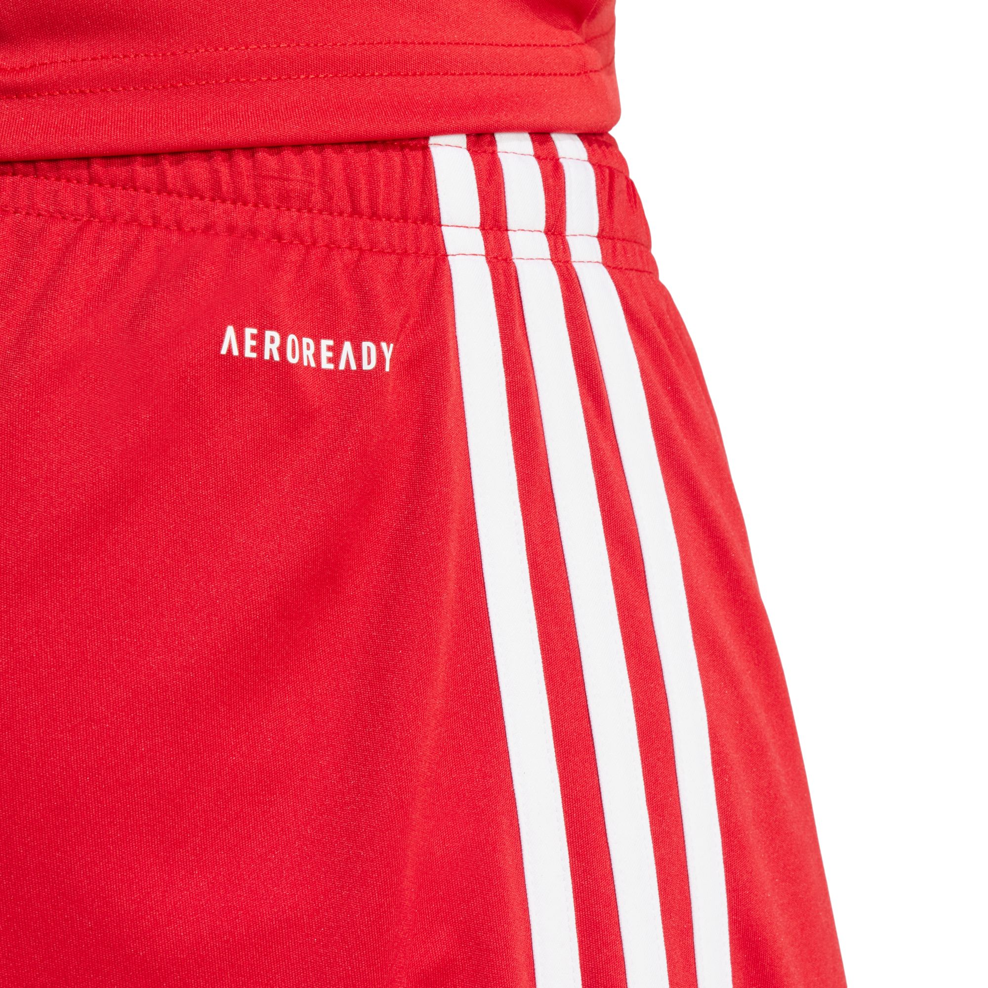 adidas Men's Squadra 25 Soccer Shorts product image