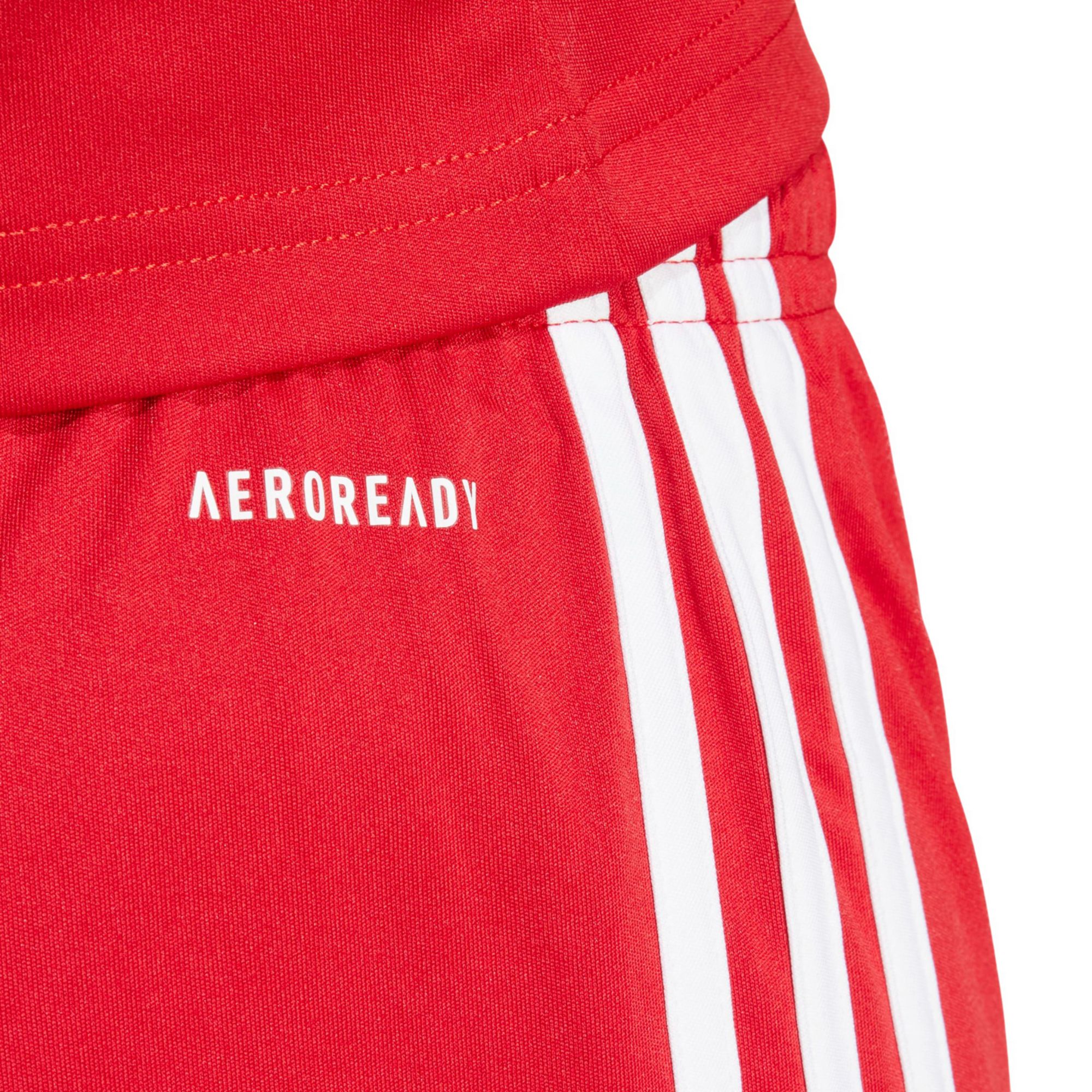 adidas Women's Squadra 25 Short-Length Shorts product image