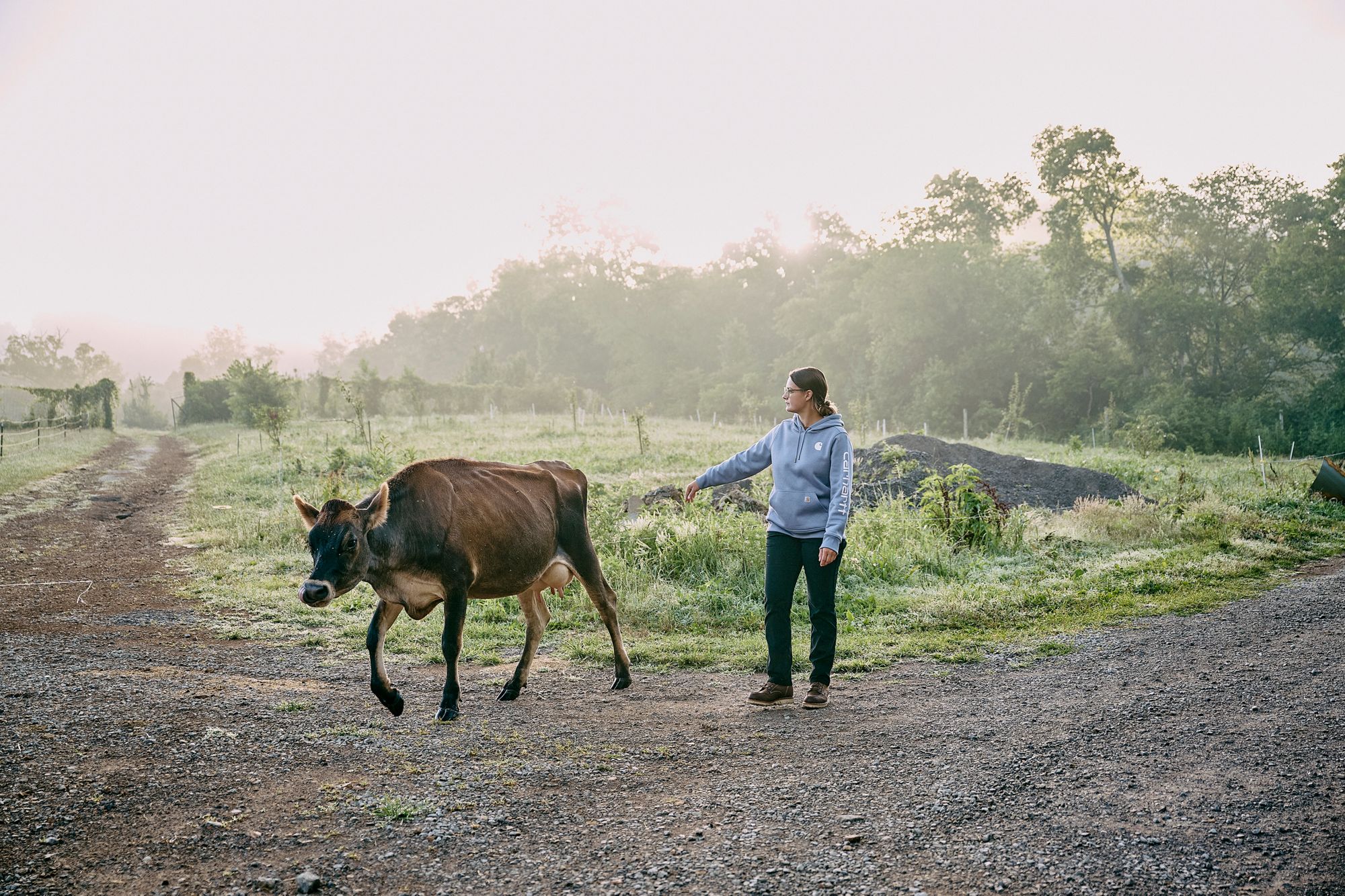 Carhartt Women's Clarksburg Graphic Sleeve Hoodie product image