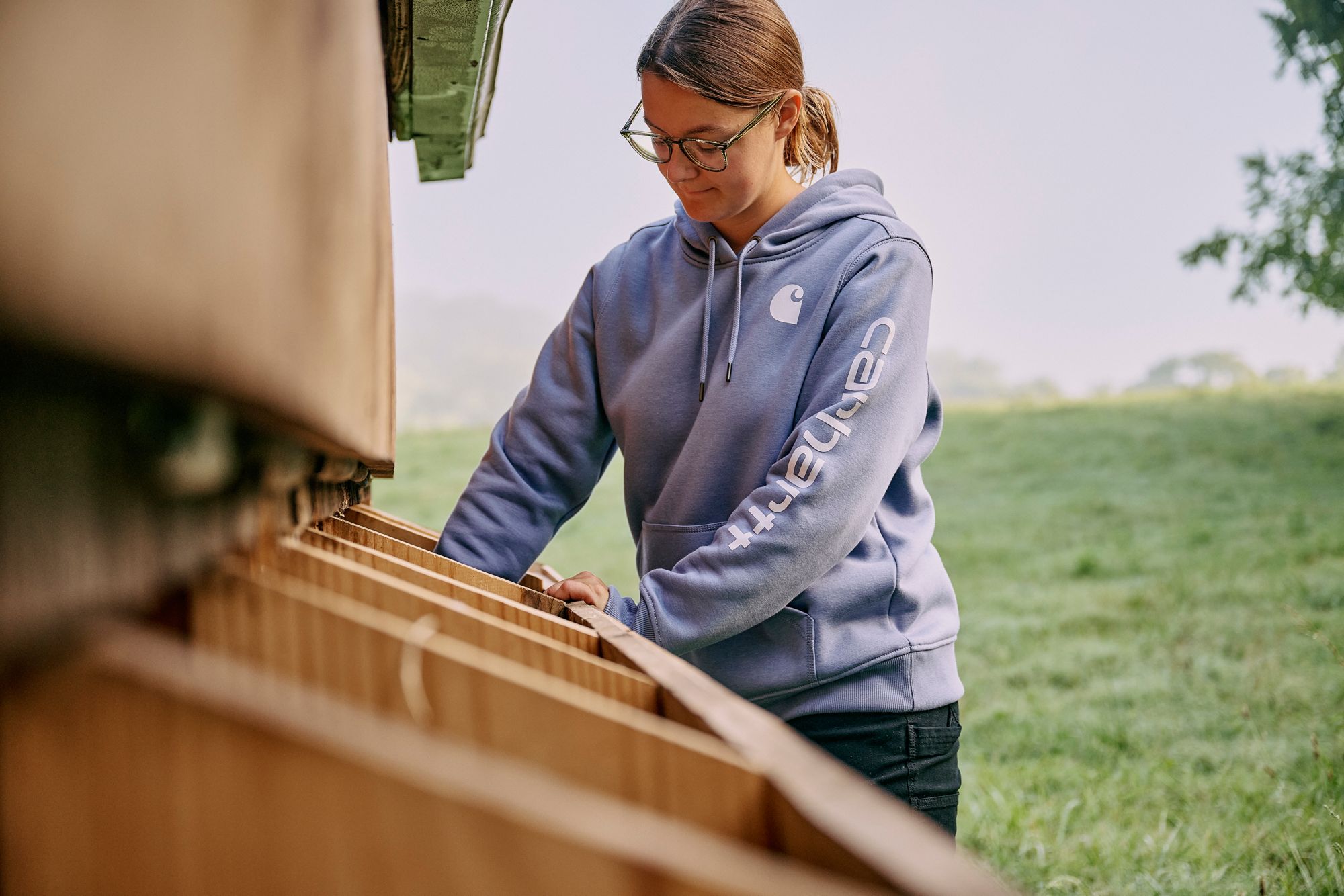 Carhartt Women's Clarksburg Graphic Sleeve Hoodie product image