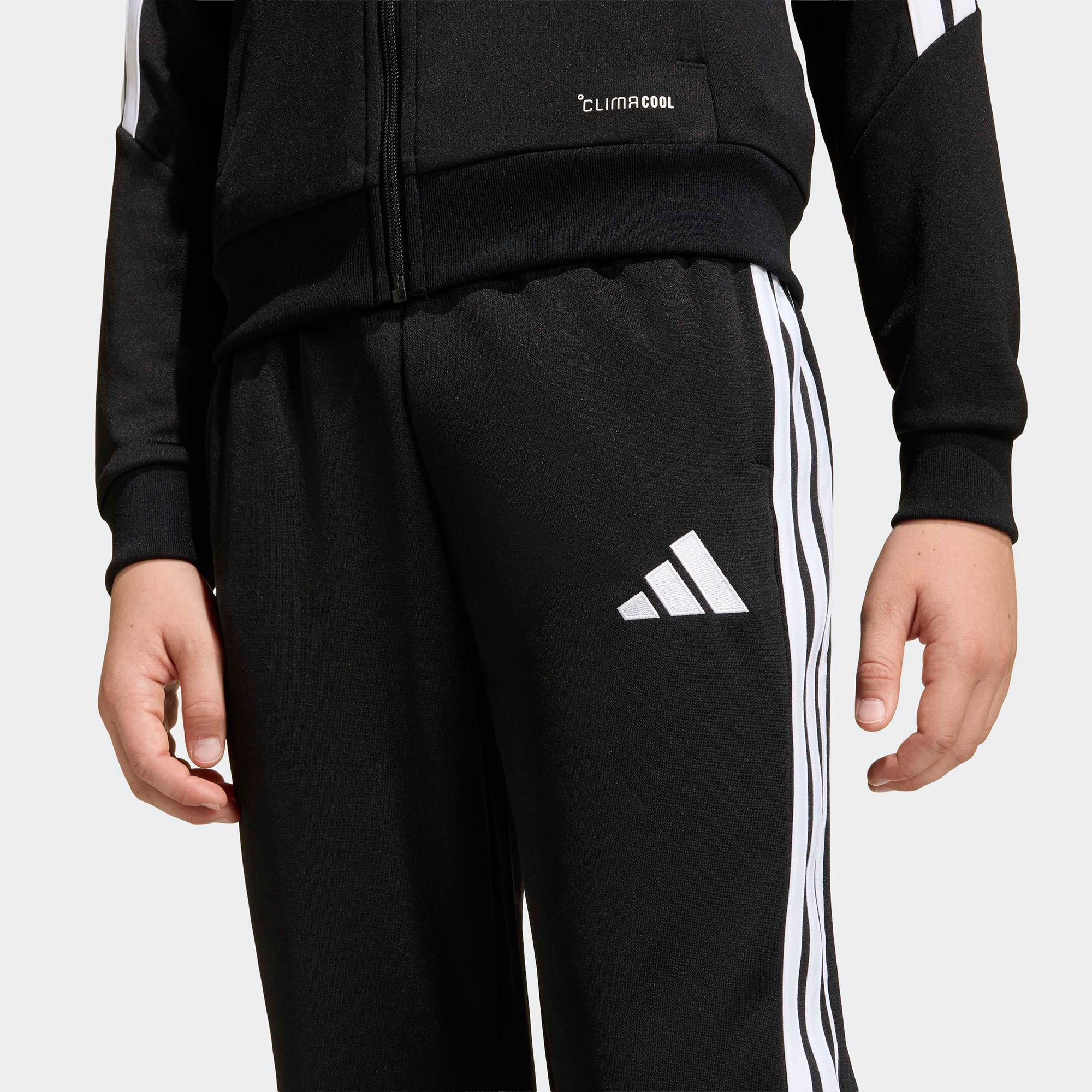adidas Kids' Tiro 26 League Training Pants product image