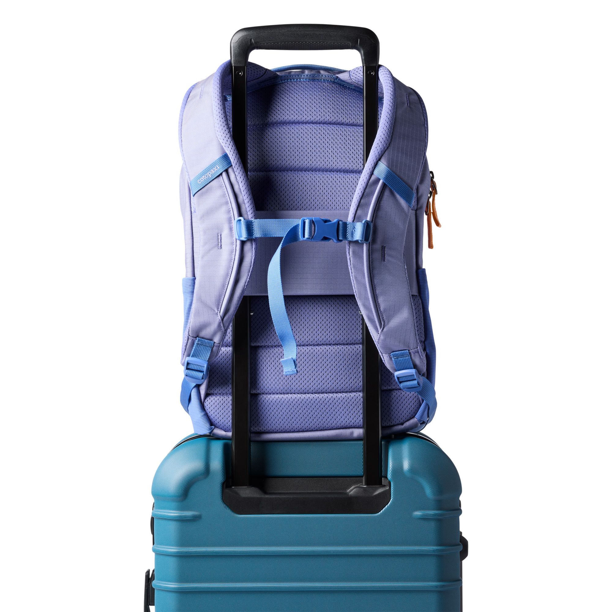 Cotopaxi Allpa 18L Daypack product image
