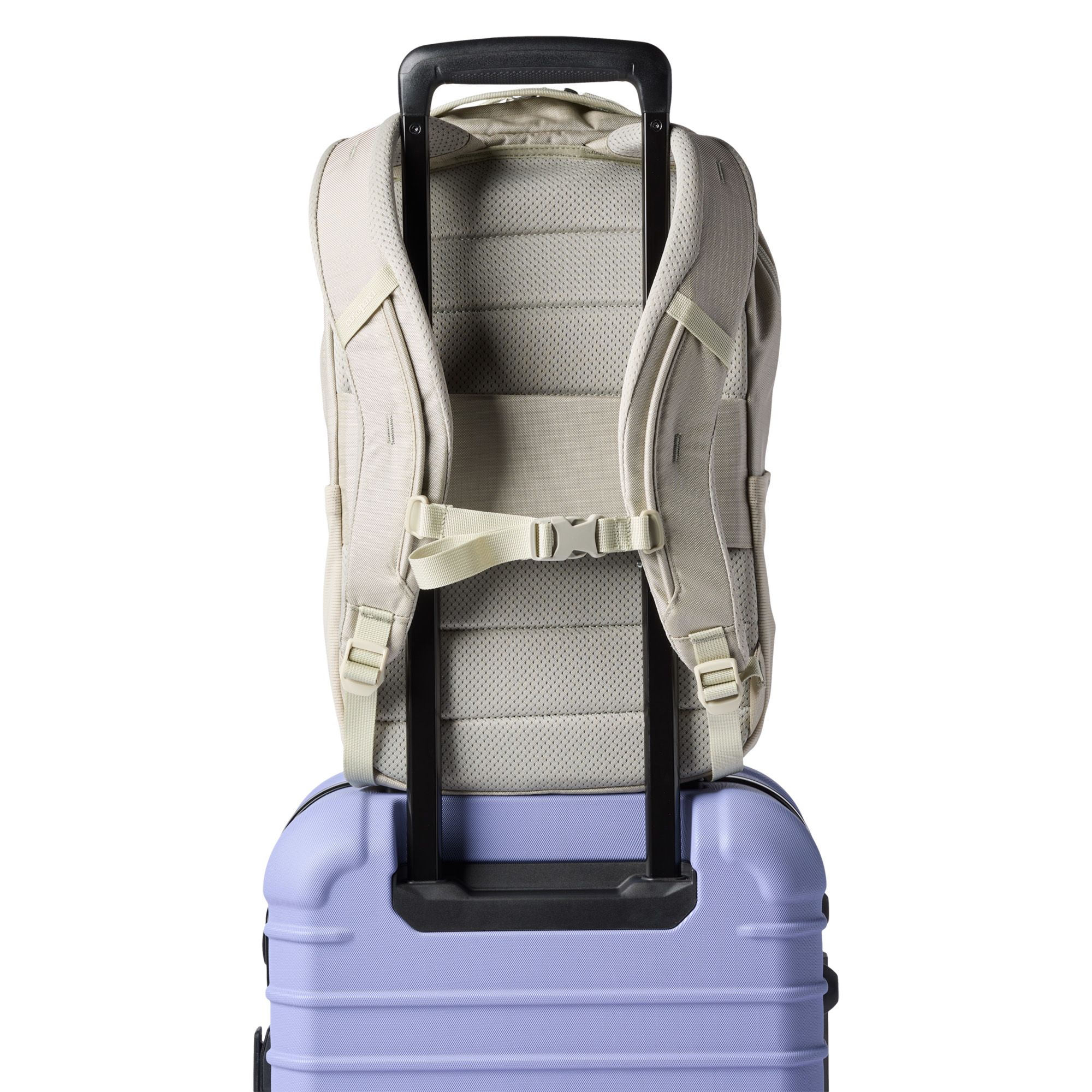 Cotopaxi Allpa 18L Daypack product image