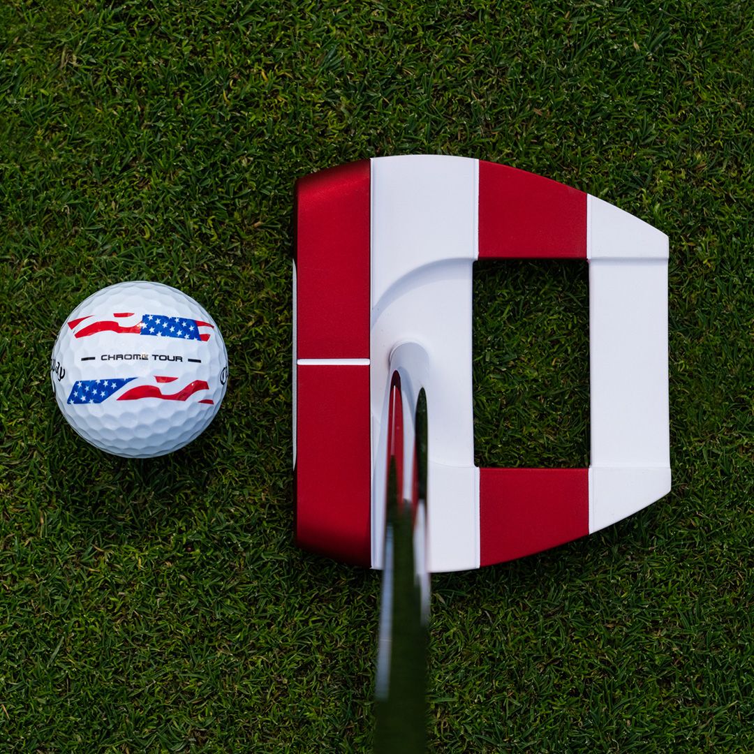 Odyssey USA 250 Ai Dual Square 2 Square Freebird ZT Putter product image