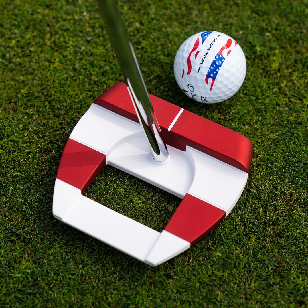 Odyssey USA 250 Ai Dual Square 2 Square Freebird ZT Putter product image