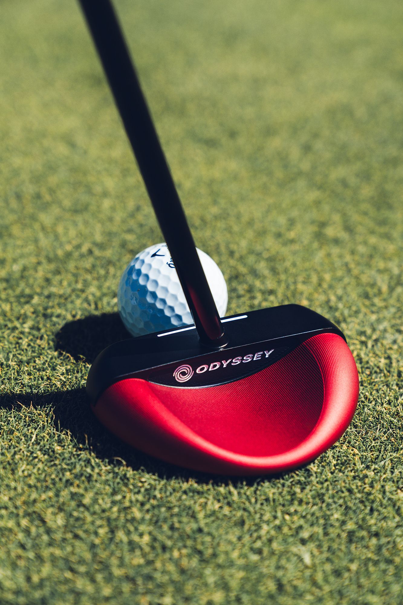 Odyssey Square 2 Square Tri-Hot Rossie Putter product image