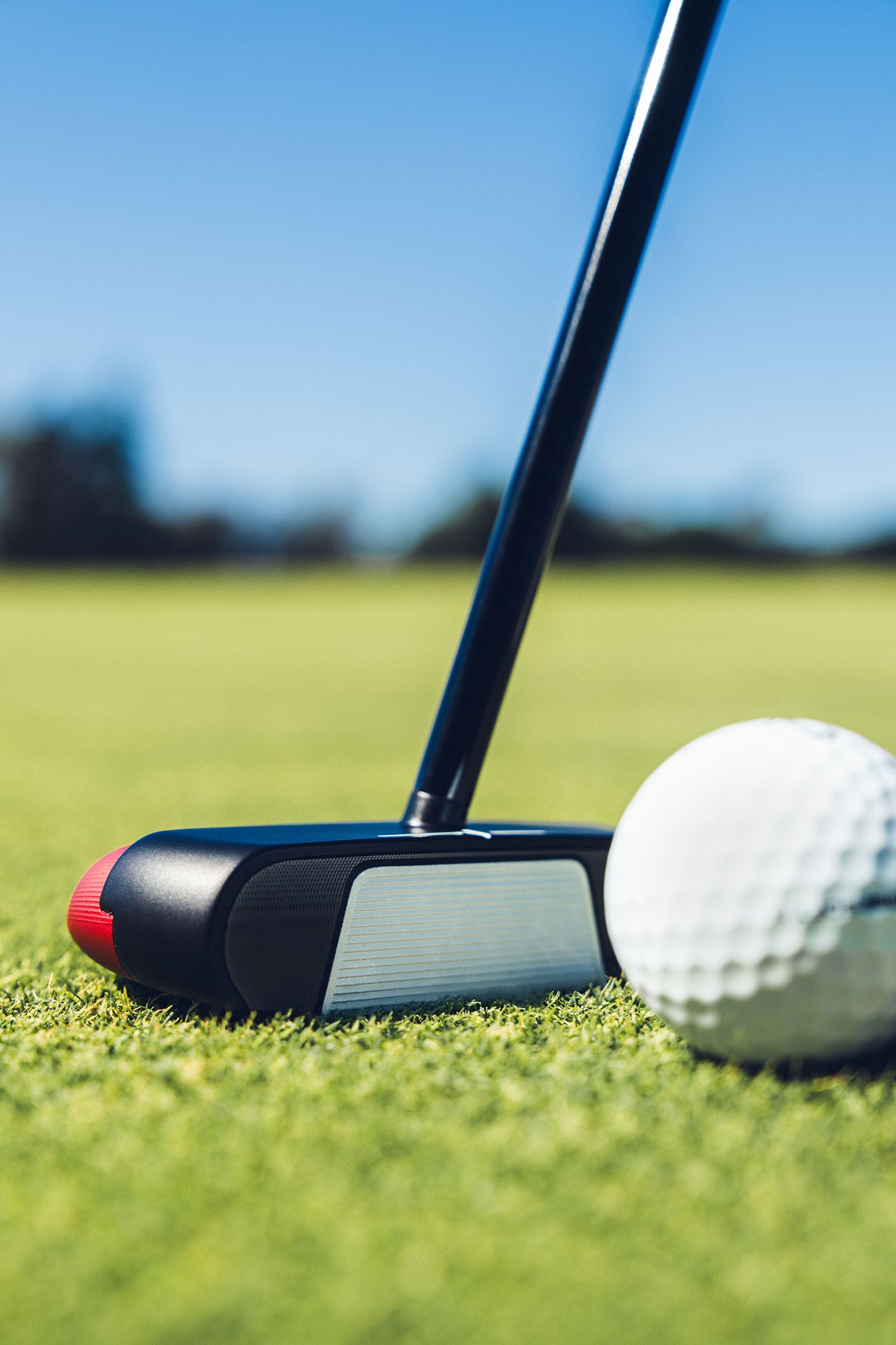 Odyssey Square 2 Square Tri-Hot Rossie Putter product image