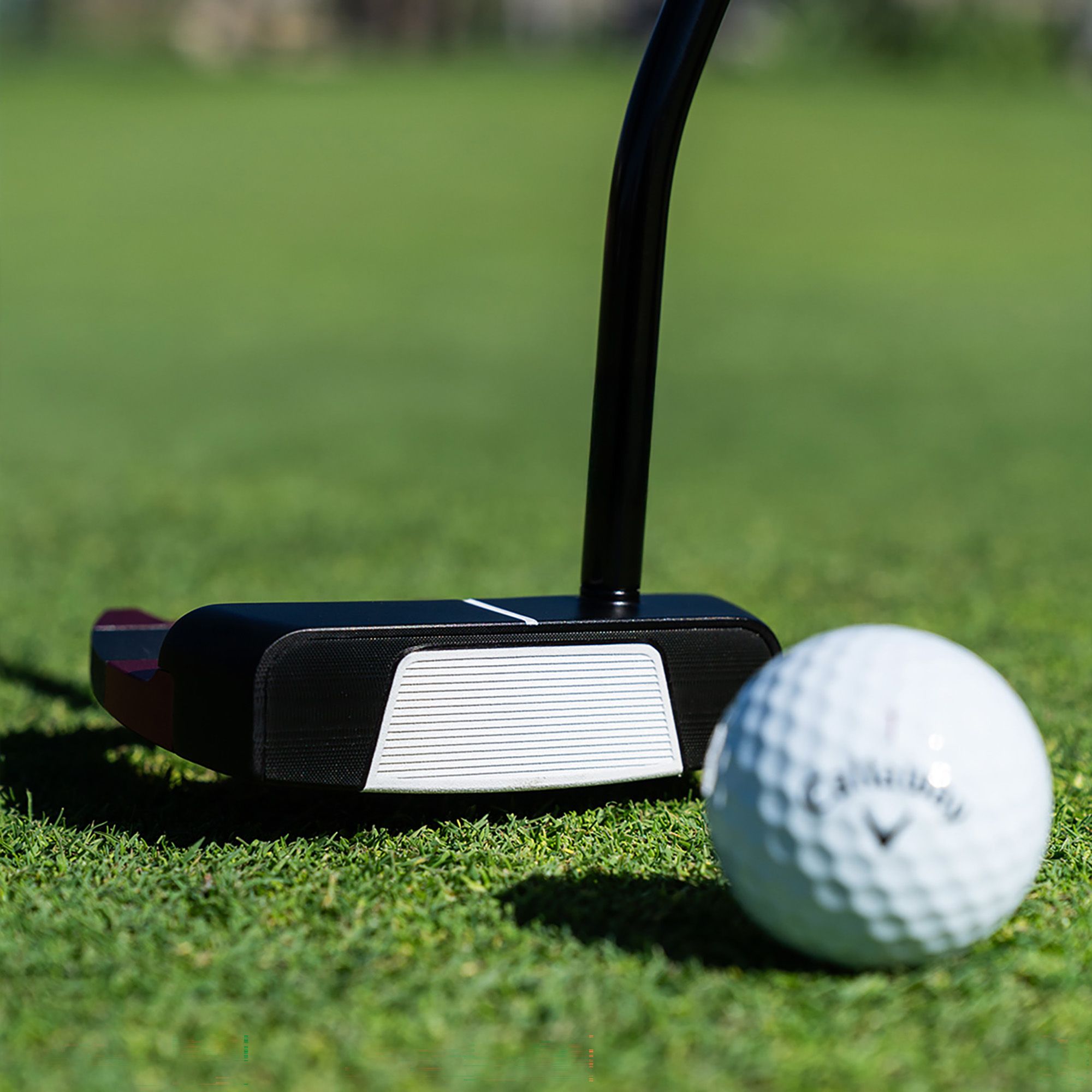 Odyssey Square to Square Tri-Hot SB Jailbird Putter product image