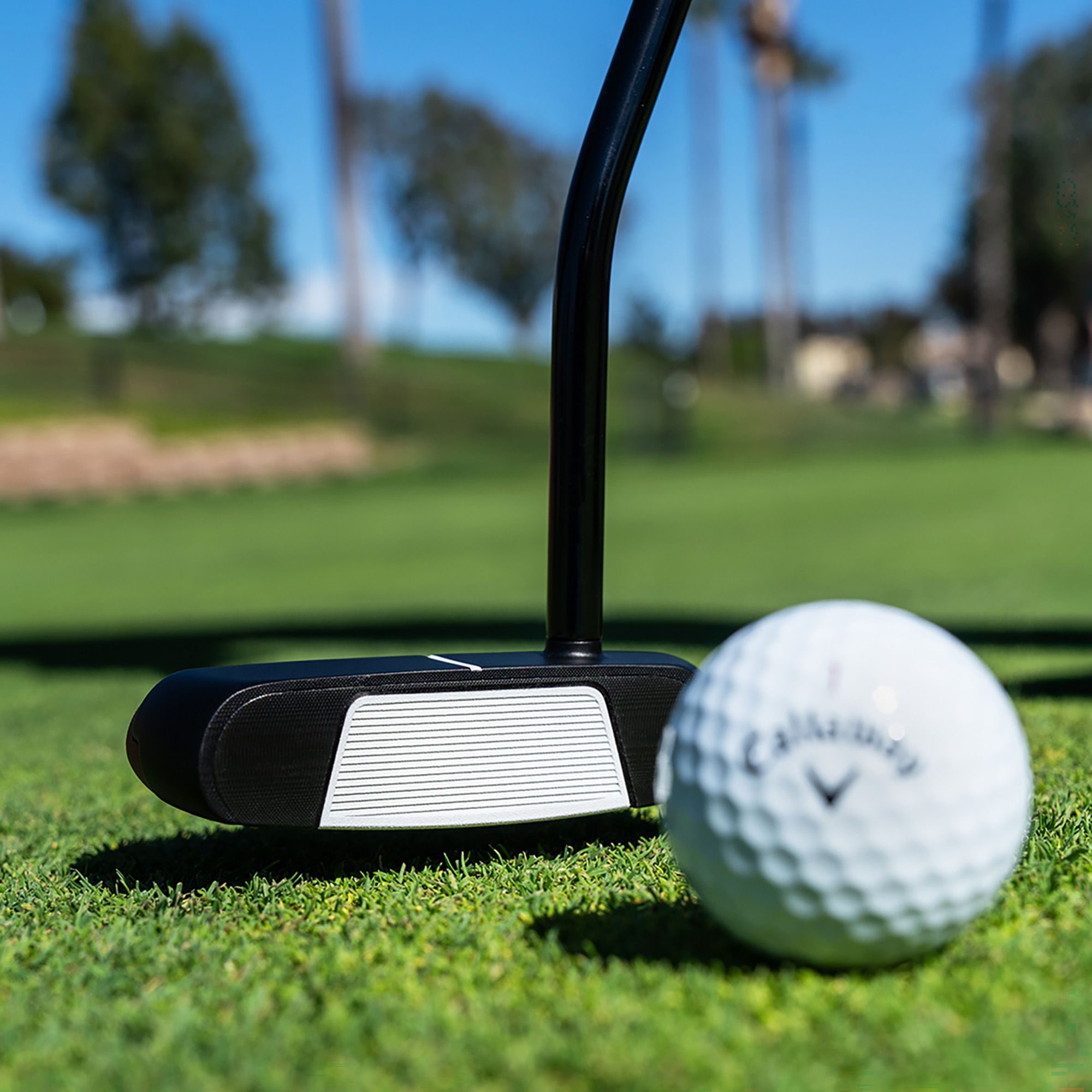 Odyssey Square to Square Tri-Hot SB Rossie Putter product image