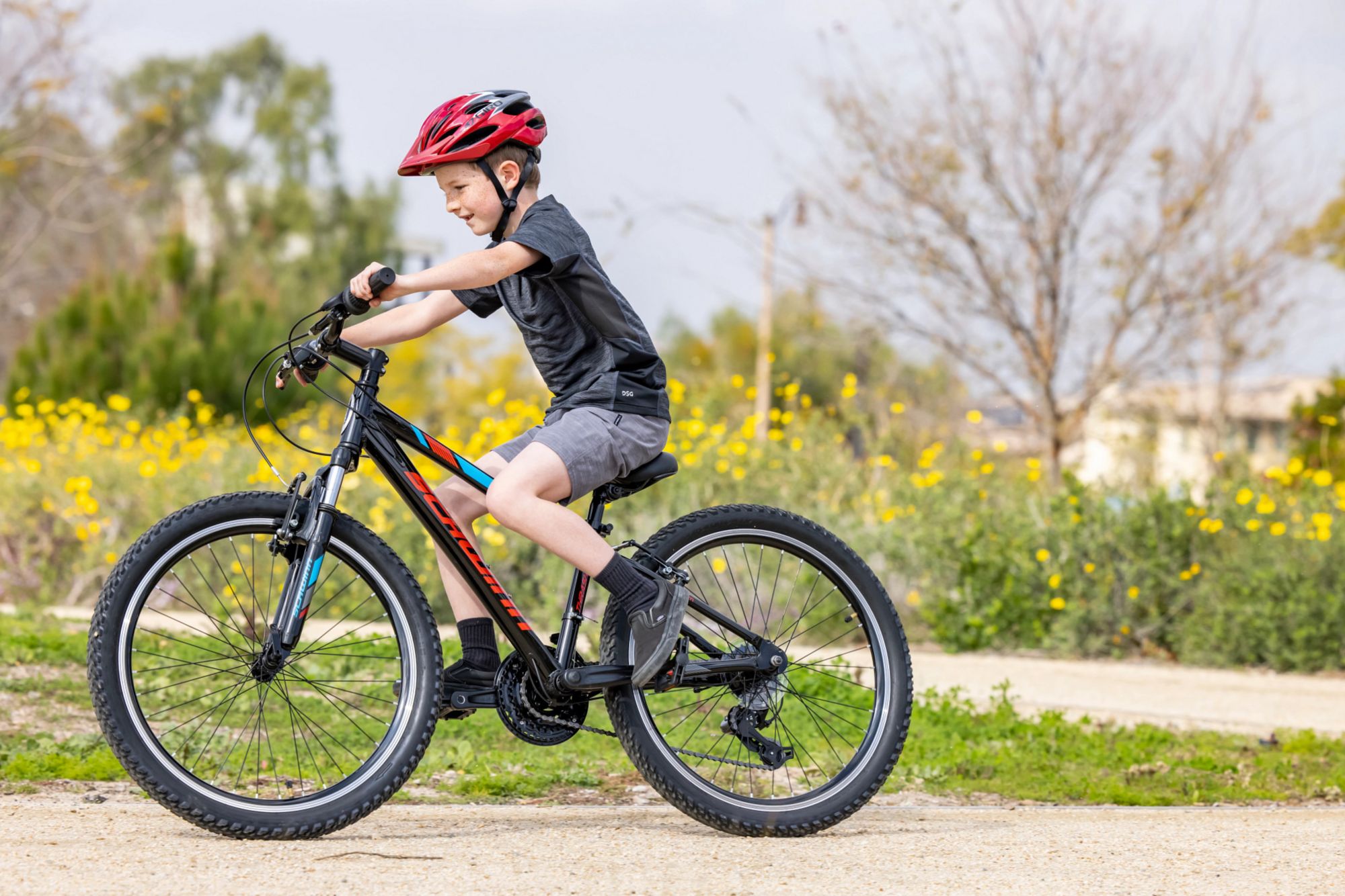 Schwinn Signature Boys' Thrasher 24'' Mountain Bike