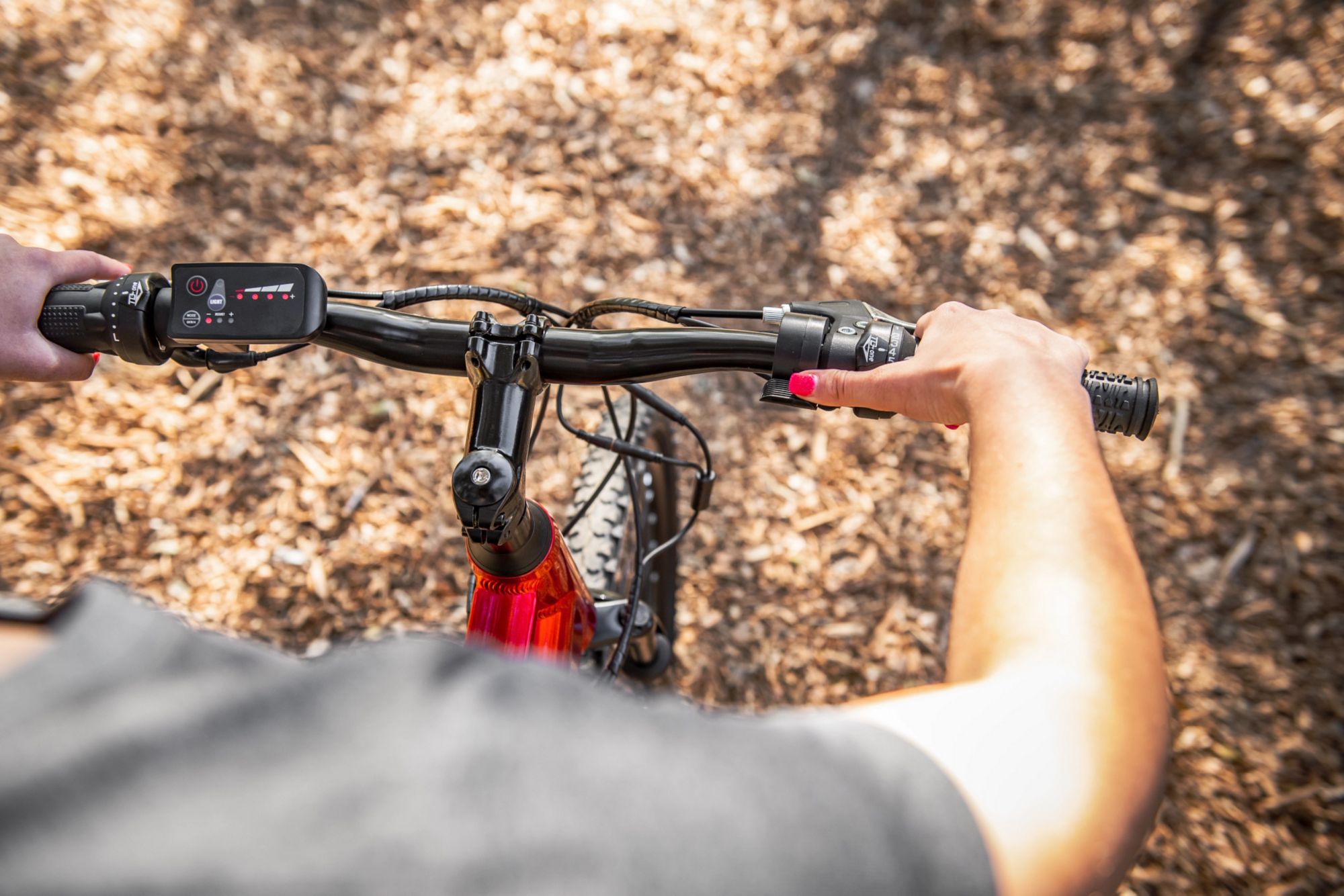 Schwinn Adult 26" Healy Ridge Mountain Electric Bike product image