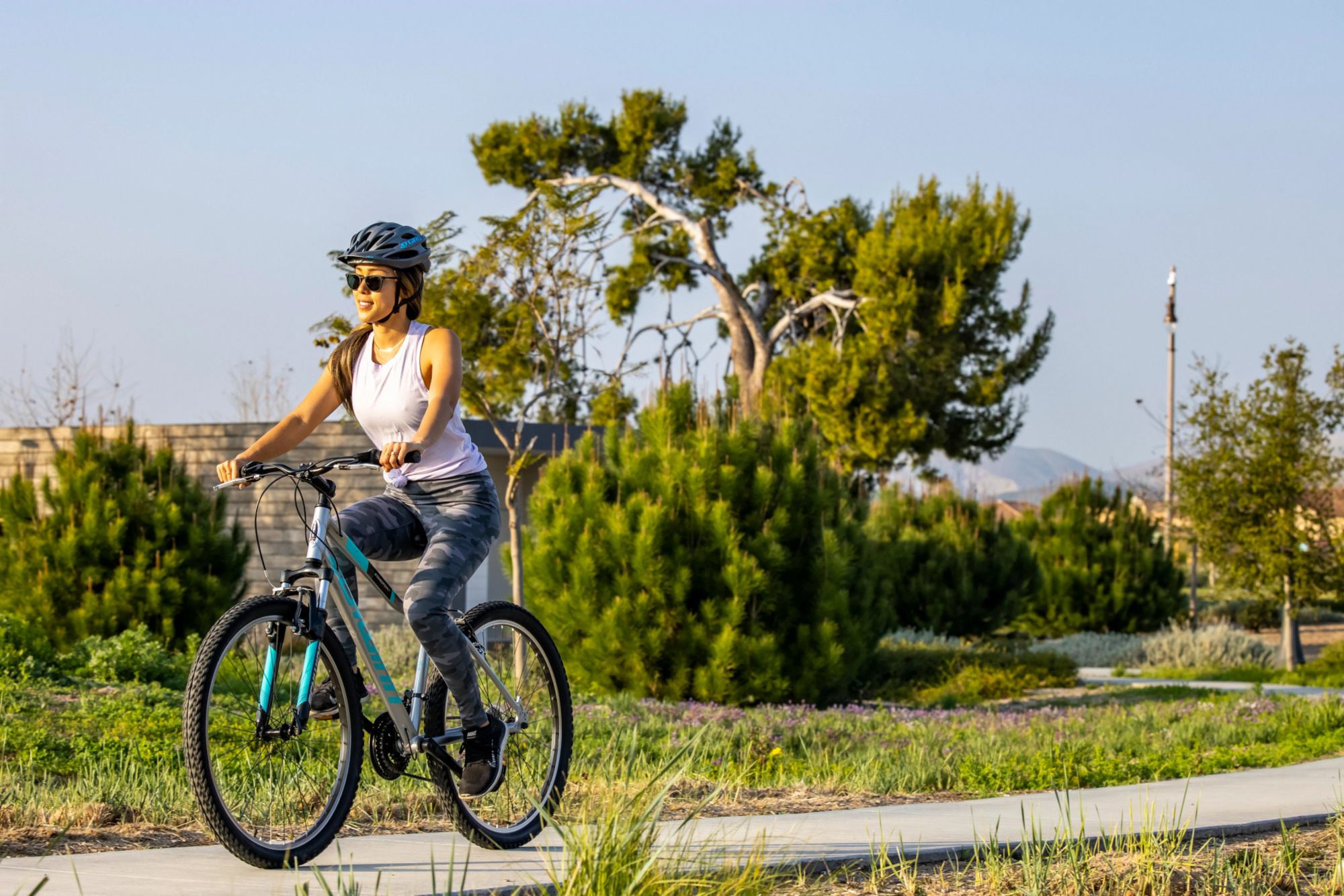 schwinn fordham bike