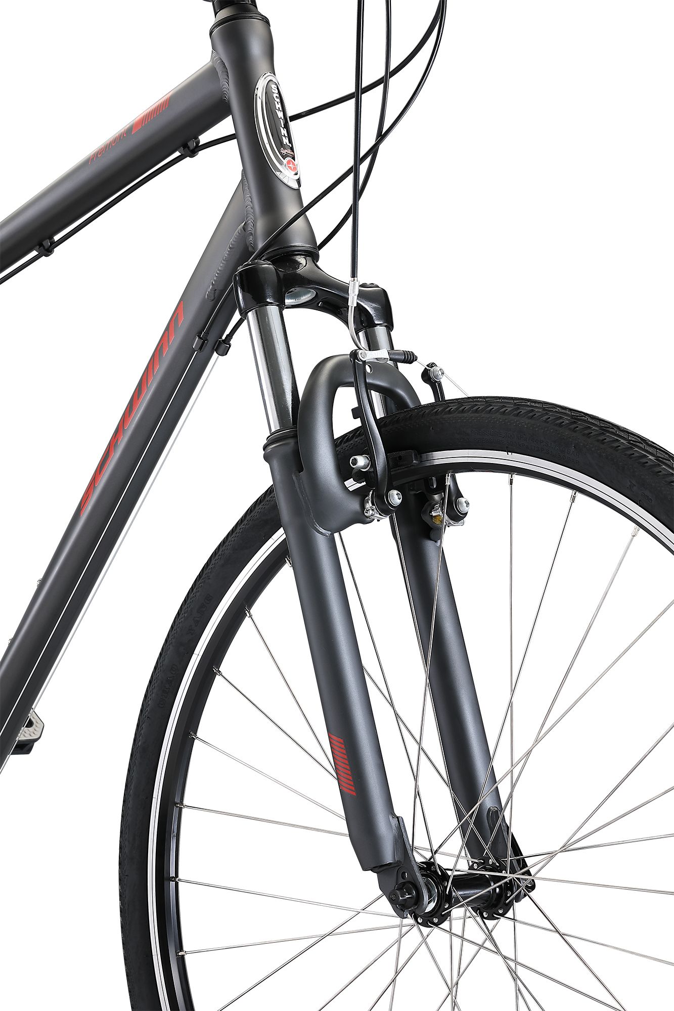 schwinn signature men's fremont hybrid bike stores