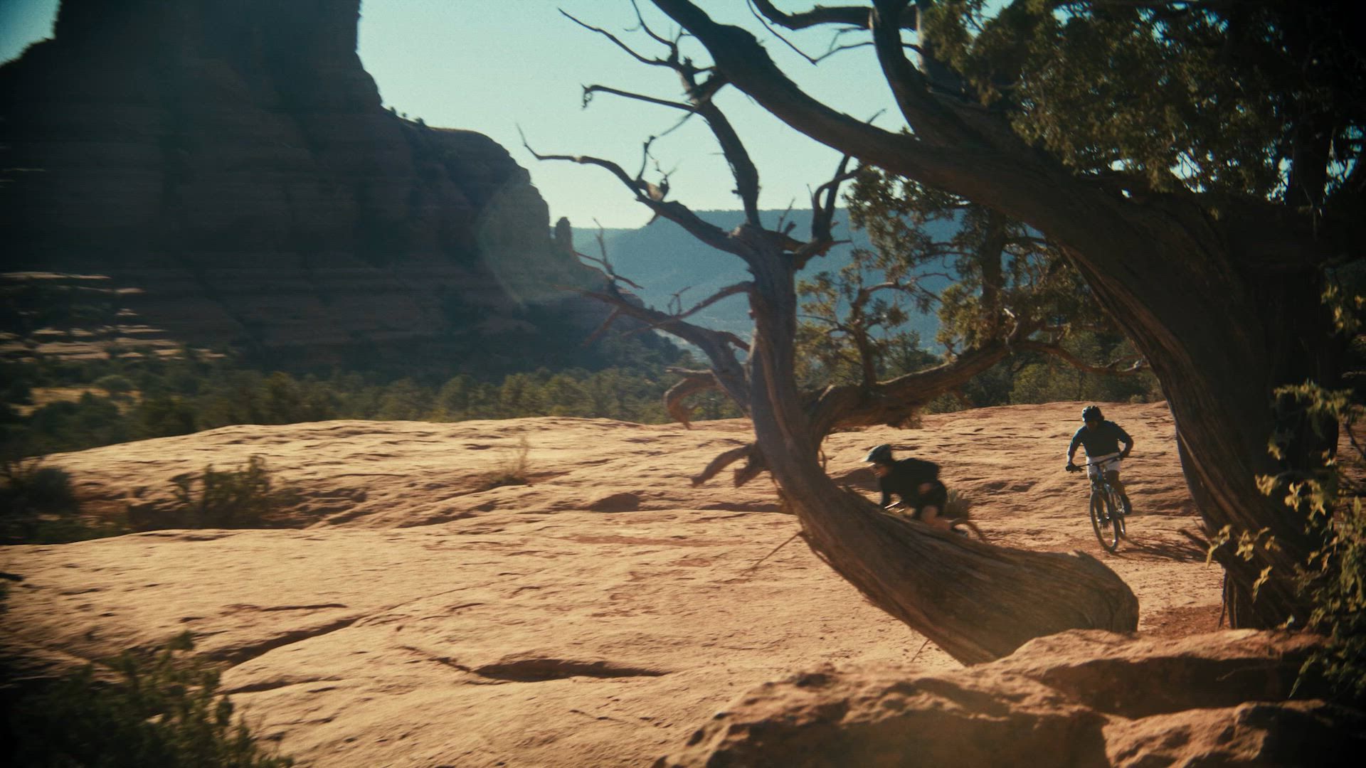 Mongoose Adult 29” Salvo 1 Mountain Bike product