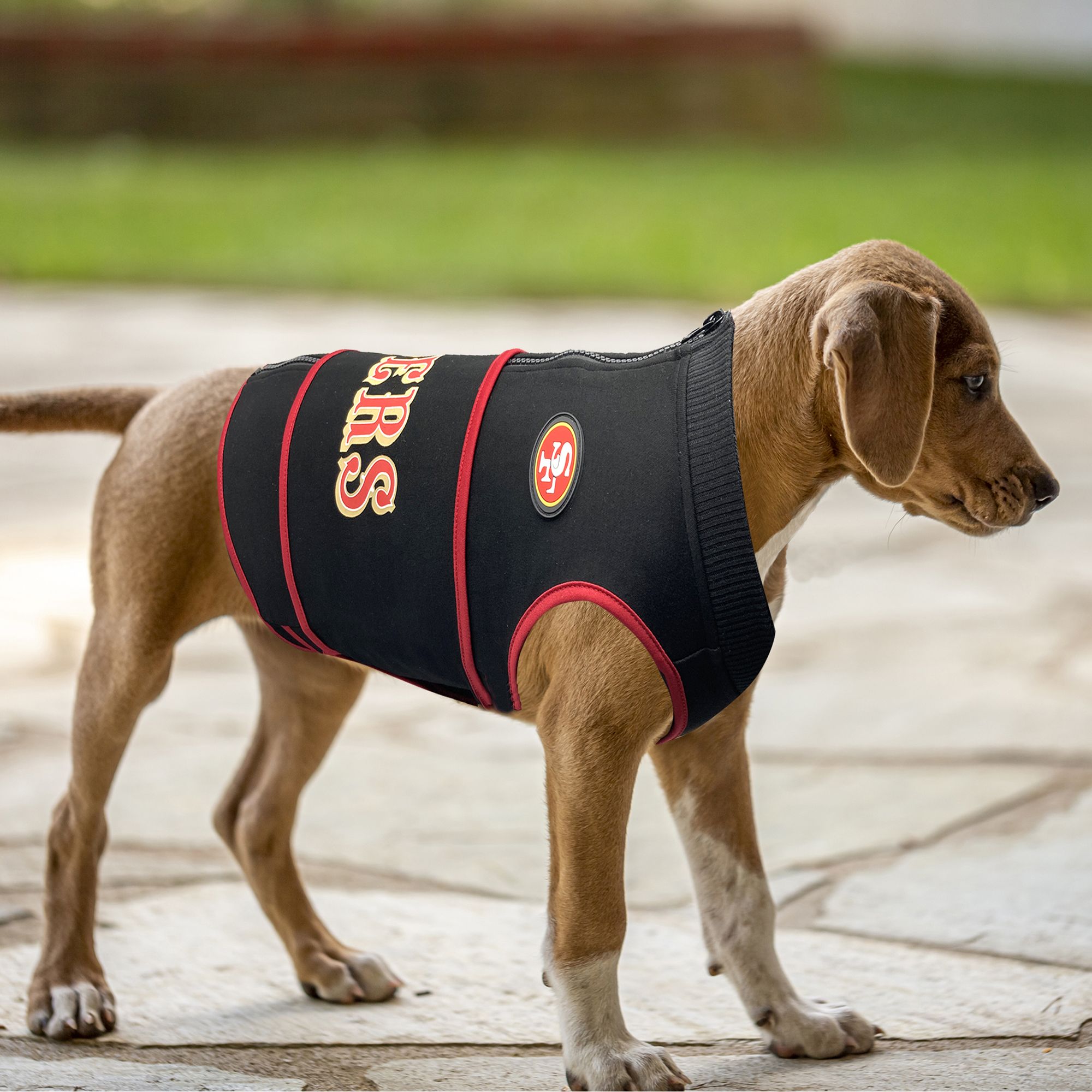 Pets First San Francisco 49ers Soothing Vest product image