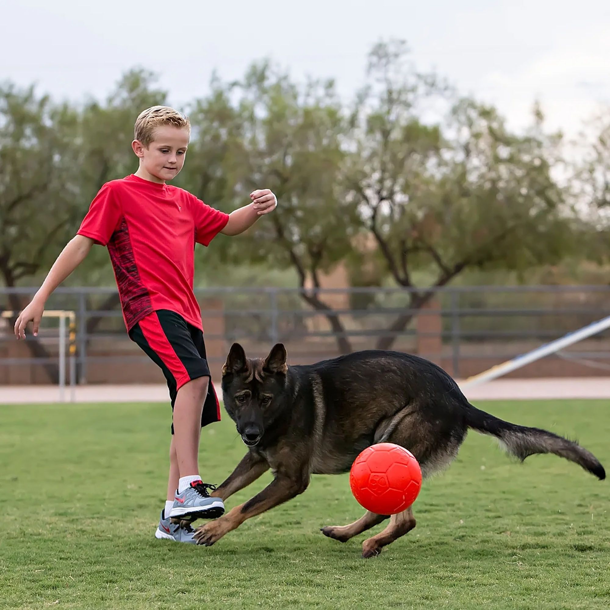 Jolly Pets 8" Soccer Ball product image