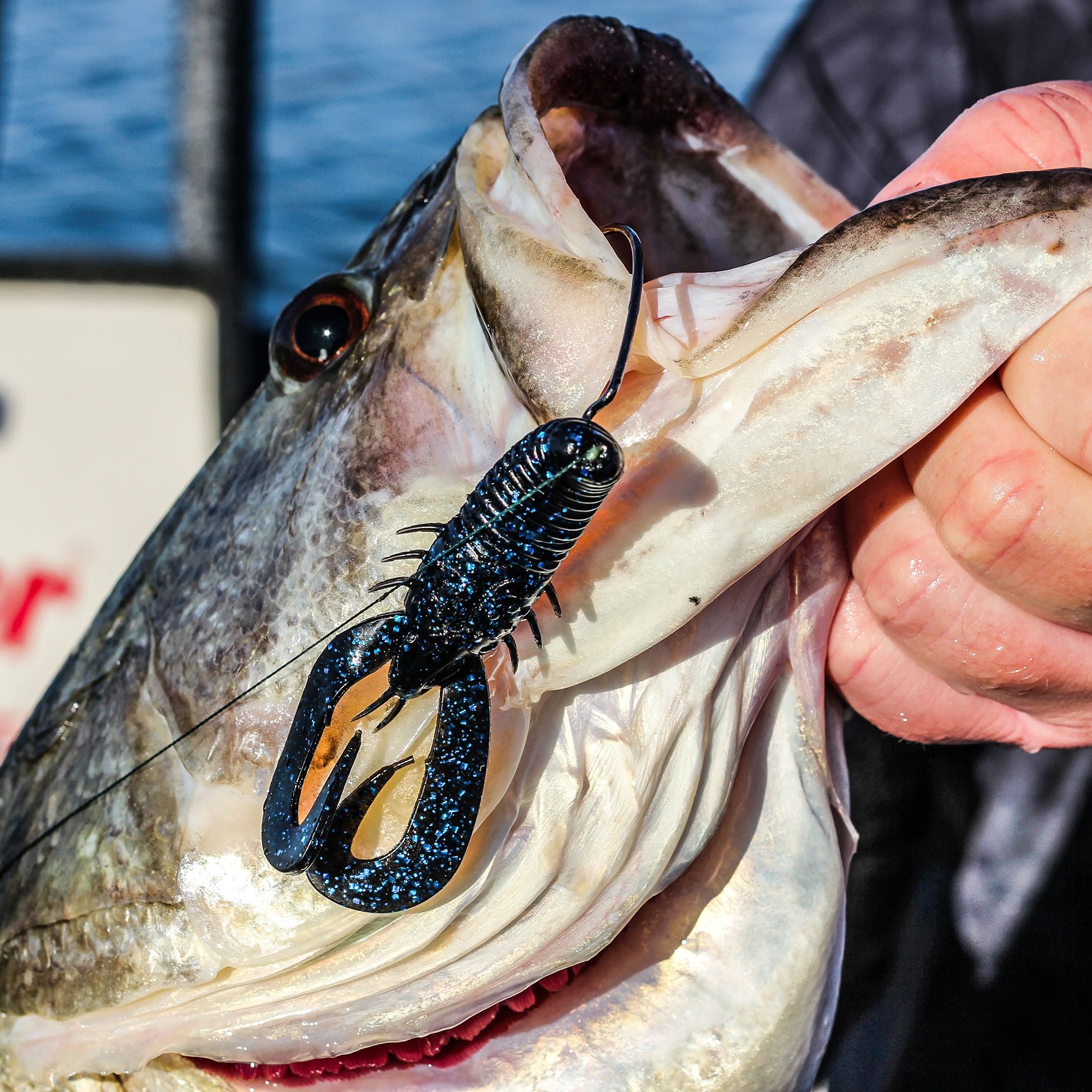 6th Sense Stroker Craw 3.3 Softbait product image