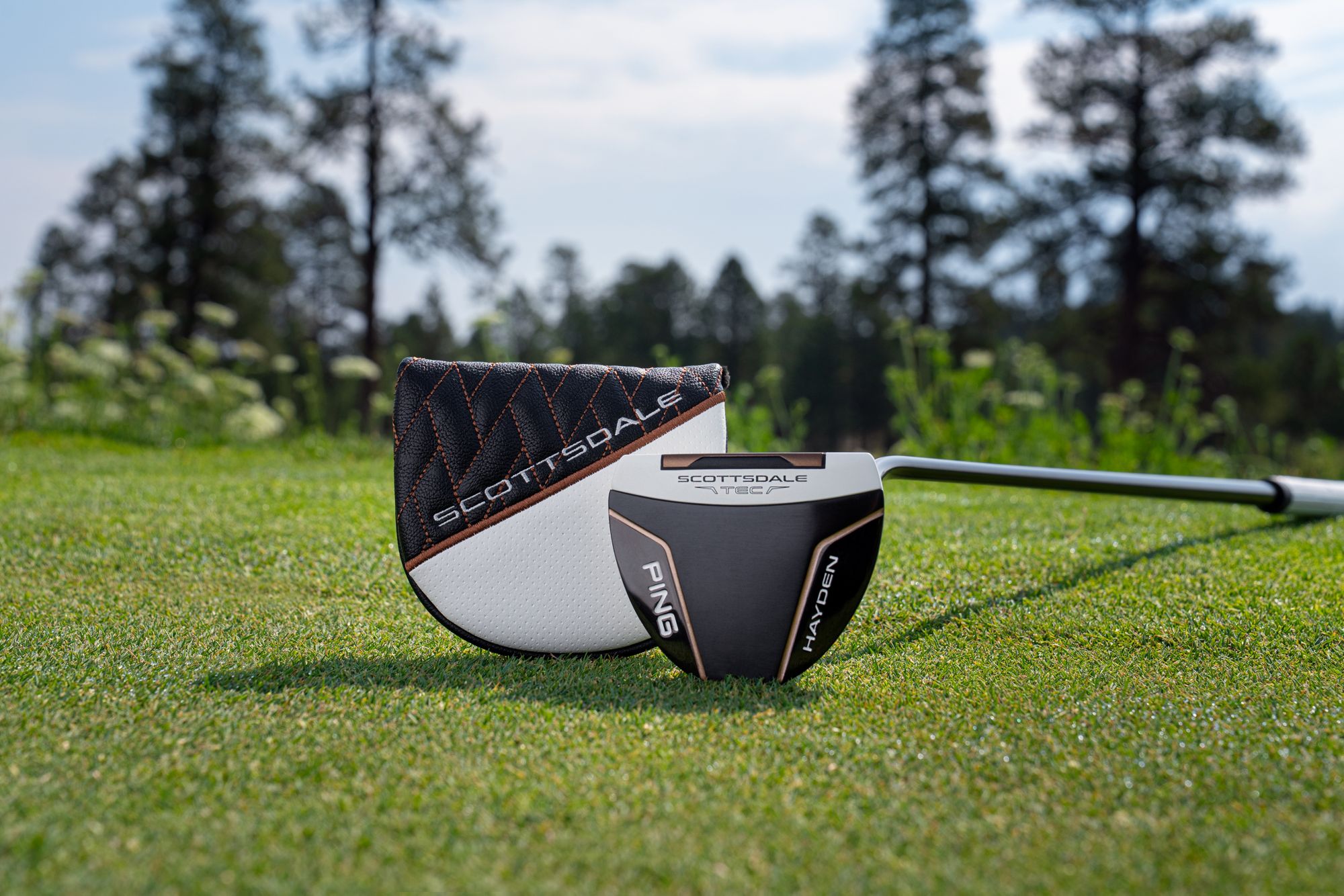 PING Scottsdale TEC Hayden Putter product image