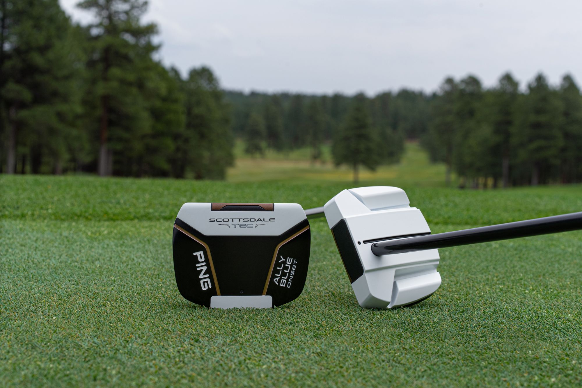 PING Scottsdale TEC Ally Blue Onset Counter-Balanced Putter product image