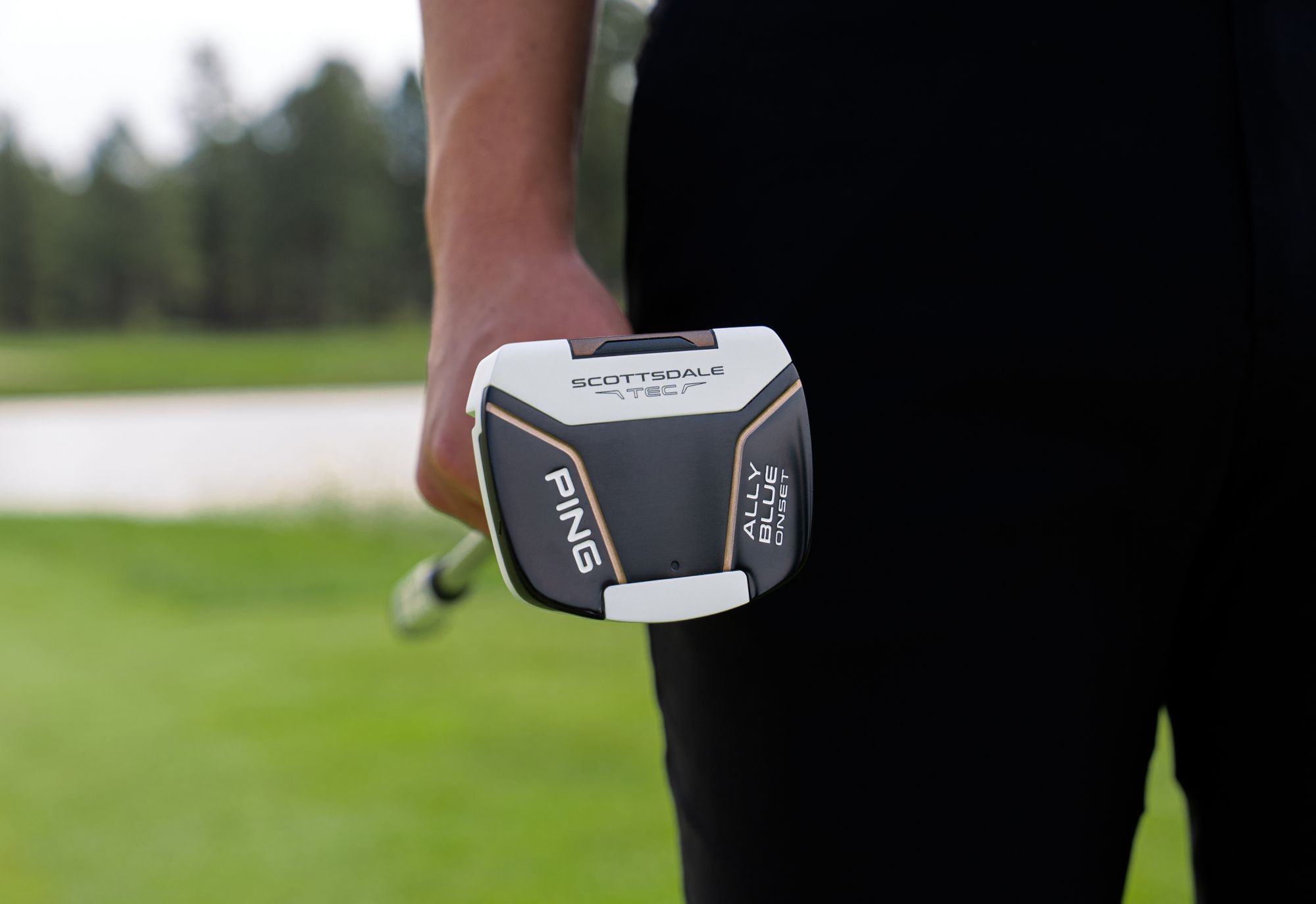 PING Scottsdale TEC Ally Blue Onset Counter-Balanced Putter product image