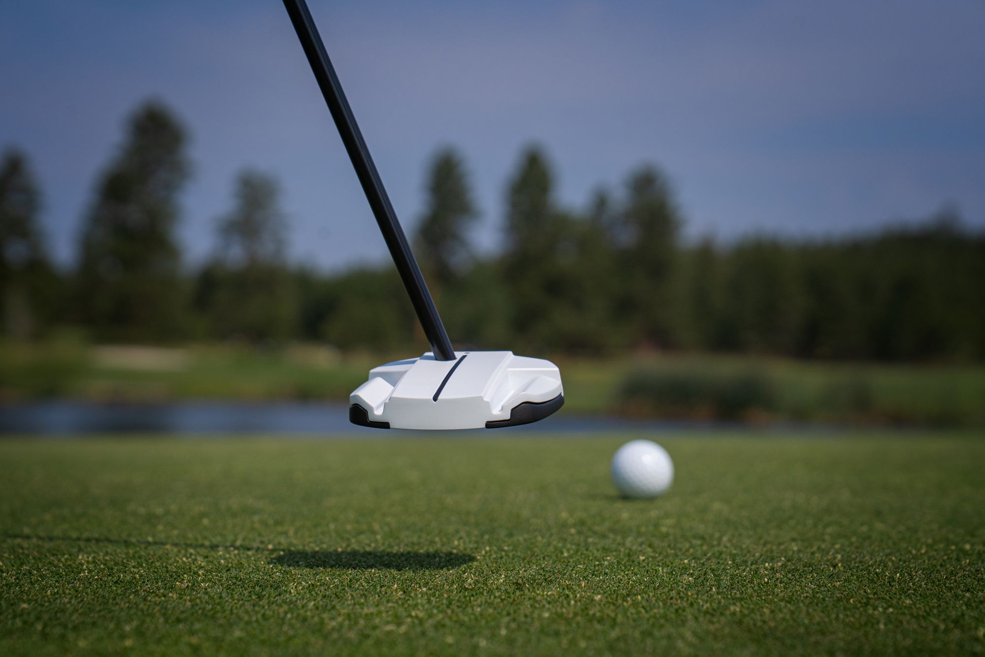 PING Scottsdale TEC Ally Blue Onset Counter-Balanced Putter product image