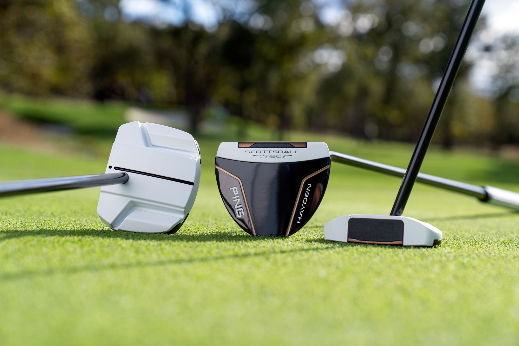 PING Scottsdale TEC Ally Blue Onset Counter-Balanced Putter product image