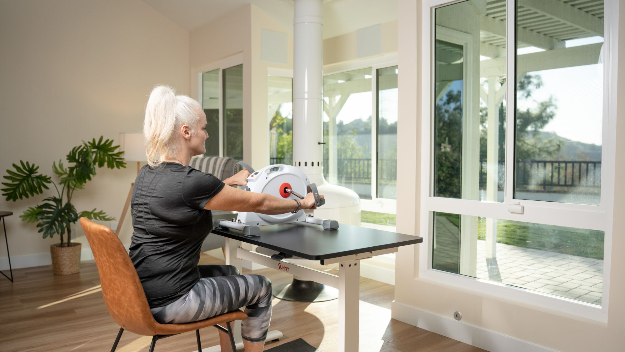 Sunny Health & Fitness 2-In-1 Smart Mini Exercise Bike product image