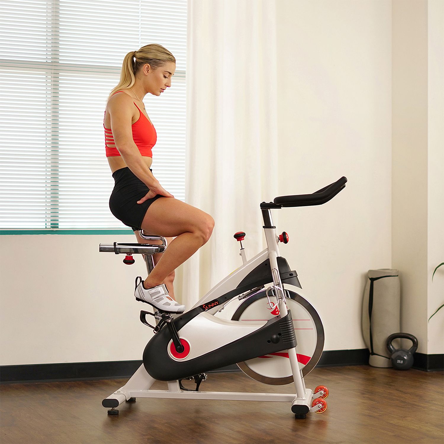 Sunny Health & Fitness Premium Indoor Cycling Bike product image