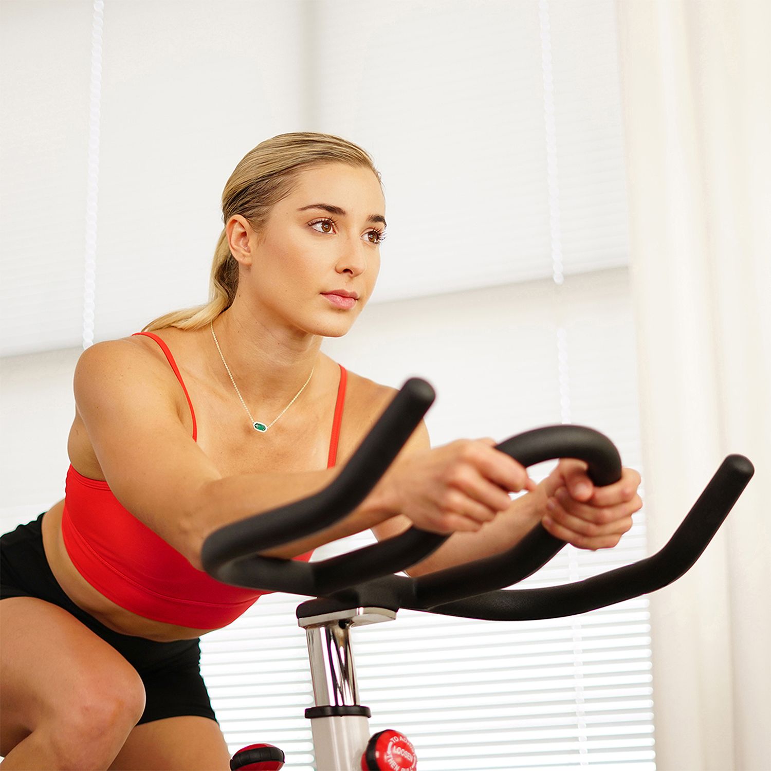 Sunny Health & Fitness Premium Indoor Cycling Bike product image