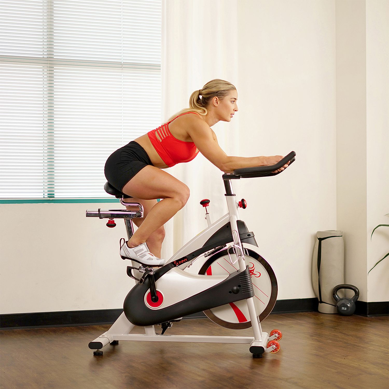 Sunny Health & Fitness Premium Indoor Cycling Bike product image