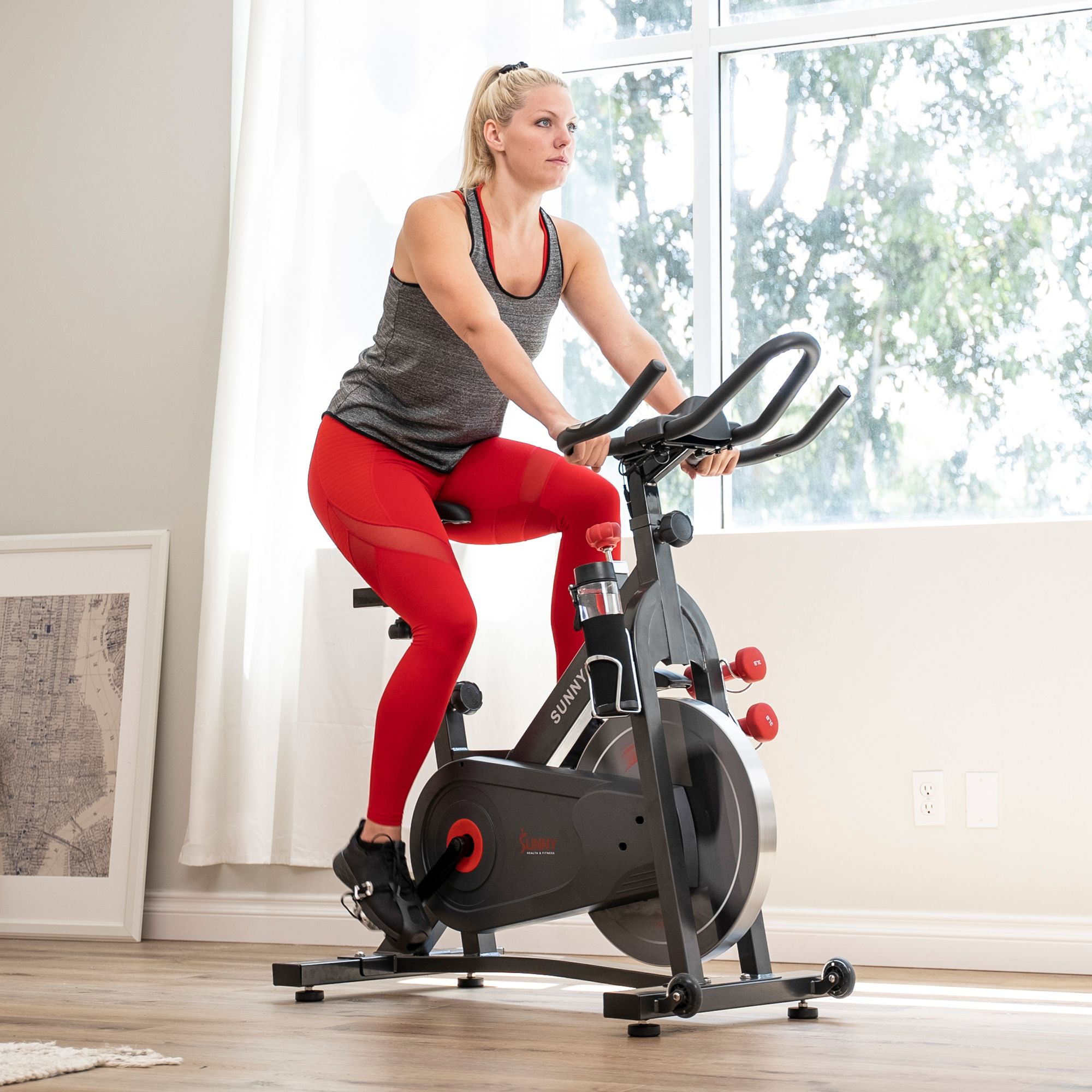 Sunny Health & Fitness Pro II Magnetic Indoor Cycling Exercise Bike product image