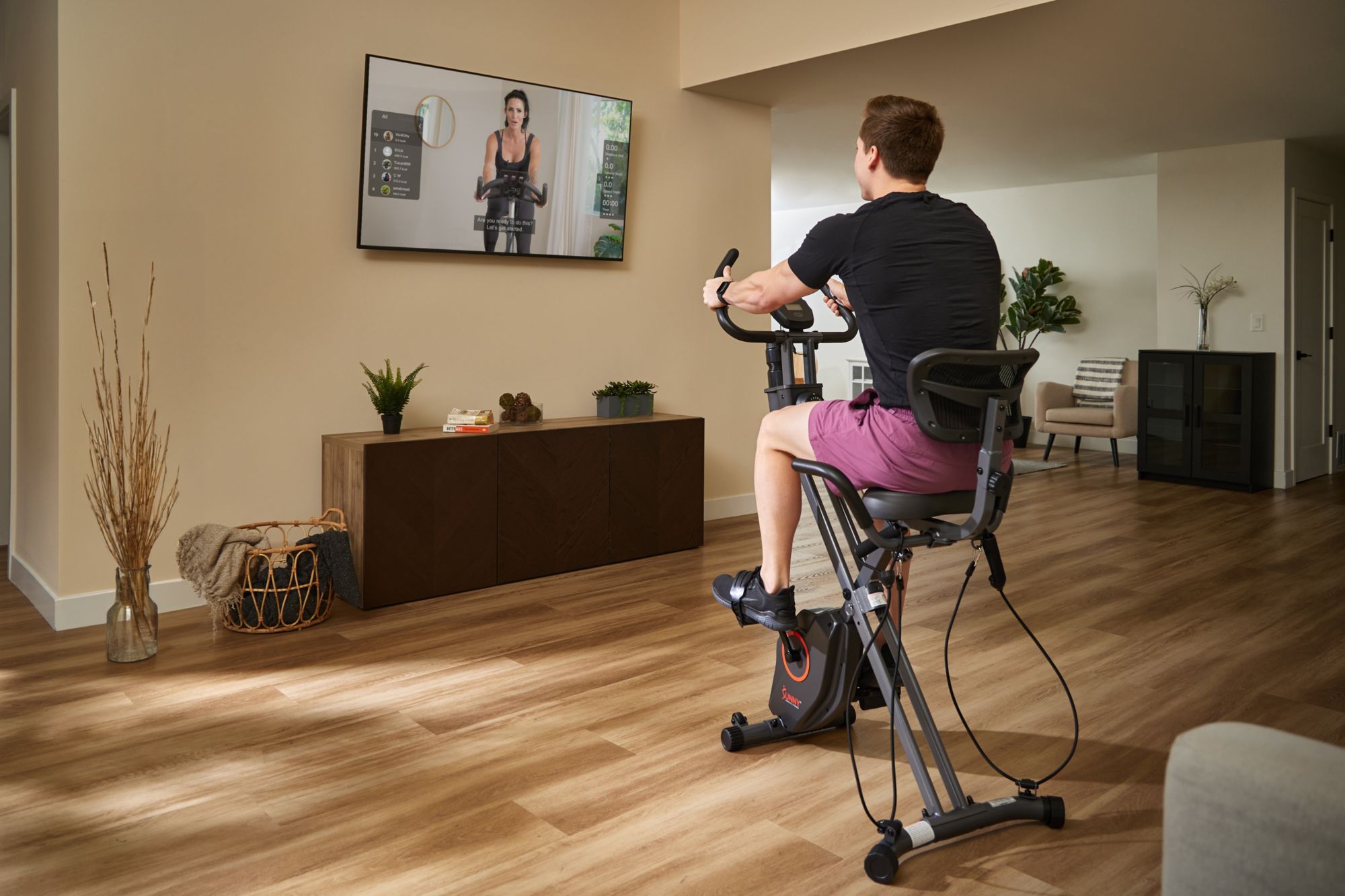 Sunny Health & Fitness Foldable Magnetic Recumbent X-Bike product image