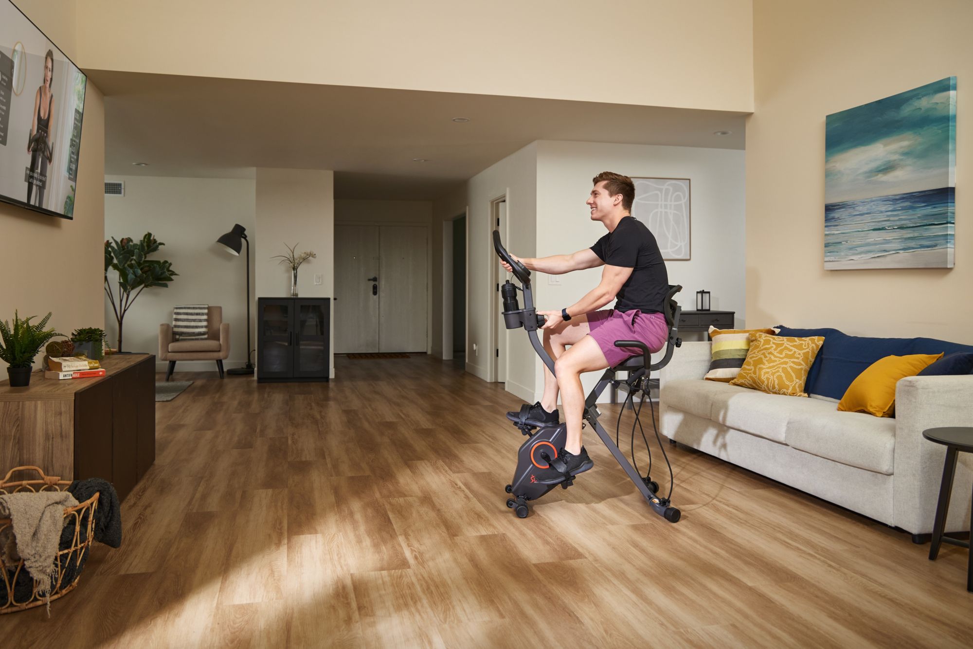 Sunny Health & Fitness Foldable Magnetic Recumbent X-Bike product image