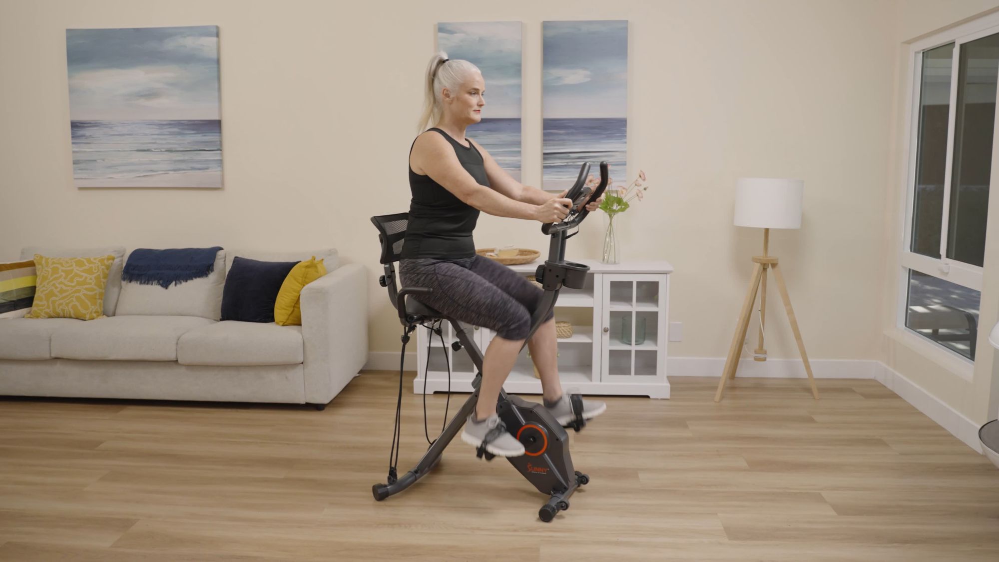 Sunny Health & Fitness Foldable Magnetic Recumbent X-Bike product