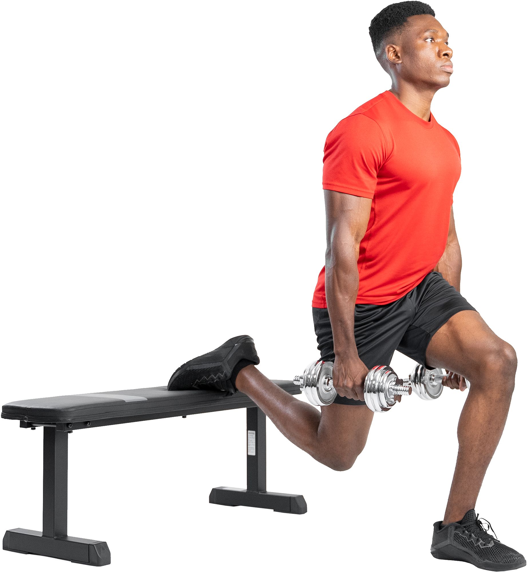 Sunny Health & Fitness Flat Weight Bench