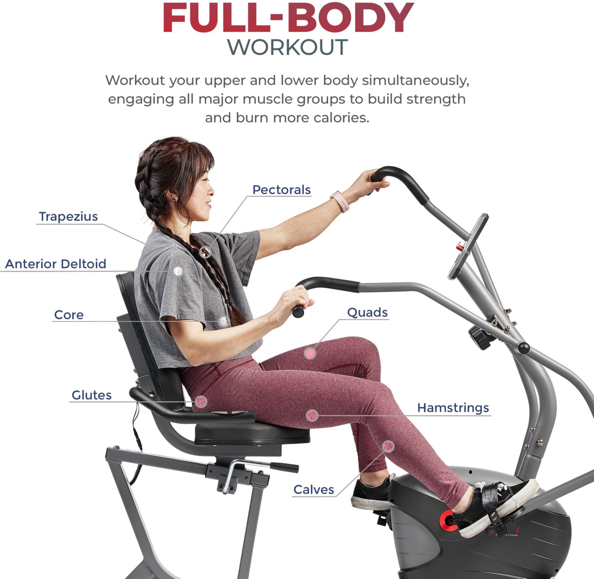 Sunny Health & Fitness Smart Magnetic Recumbent Bike With Arm Excercisers product image