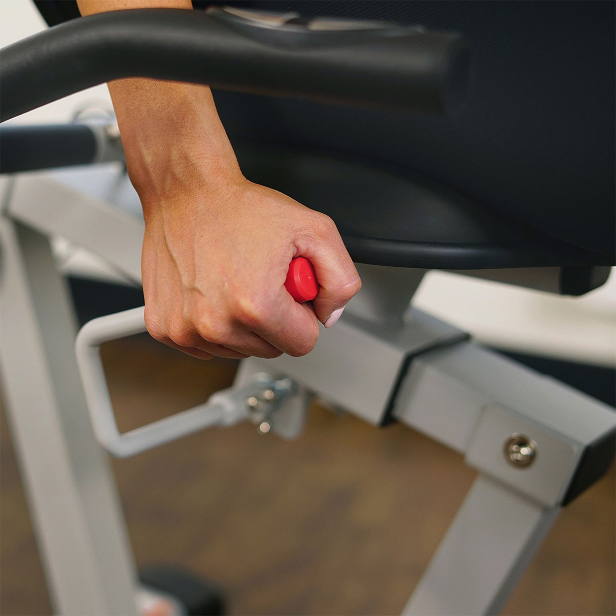 Sunny Health & Fitness Magnetic Recumbent Bike product image